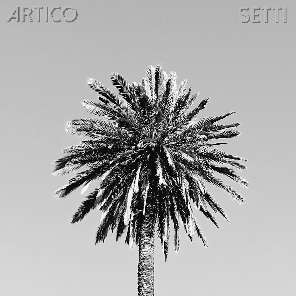 Постер альбома Artico