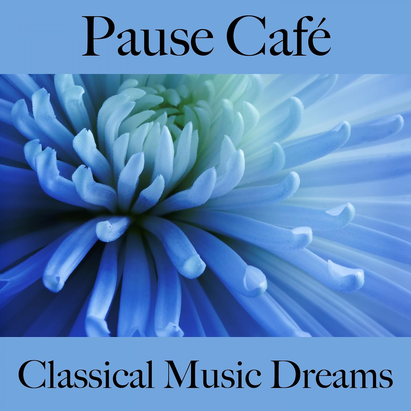 Постер альбома Pause Café: Classical Music Dreams - La Meilleure Musique Pour Se Détendre