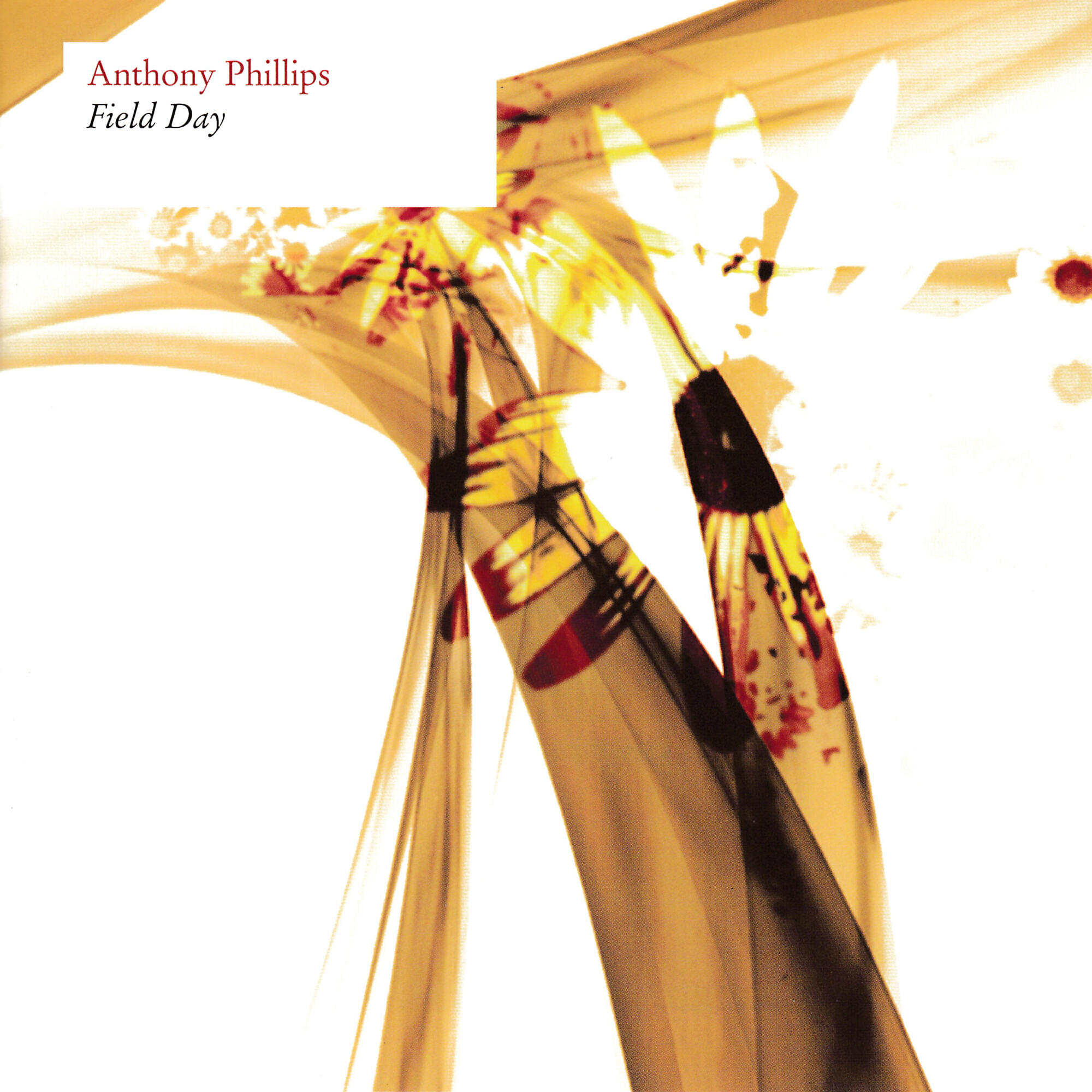 Anthony Phillips - White Spider