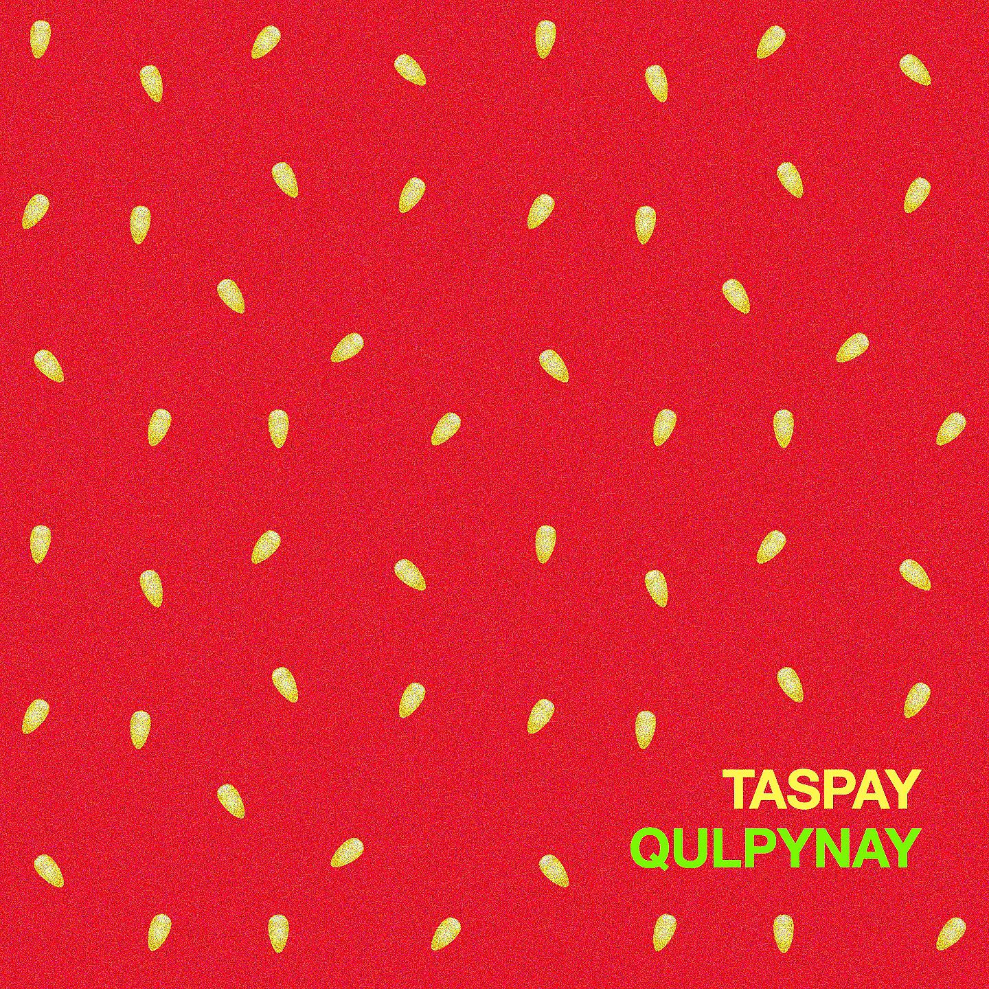 Постер альбома Qulpynay