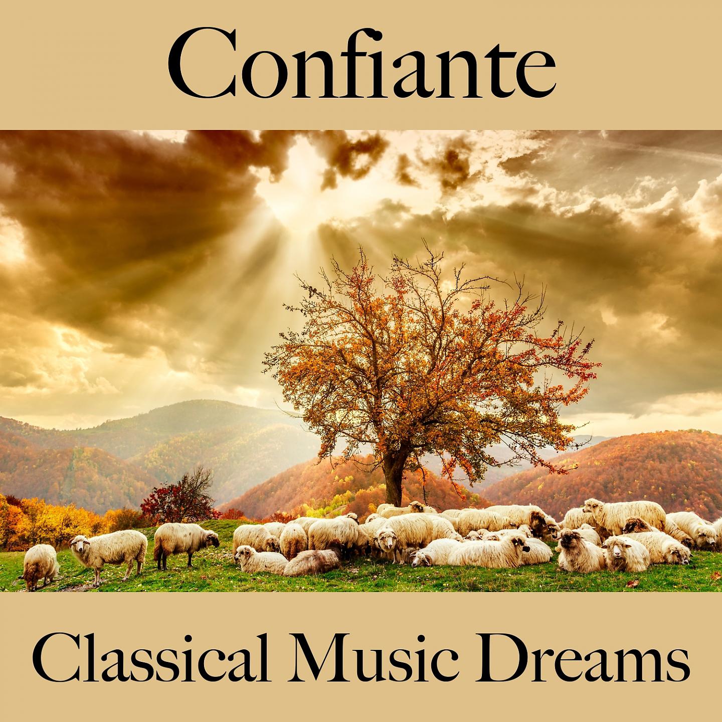 Постер альбома Confiante: Classical Music Dreams - A Melhor Música Para Relaxar
