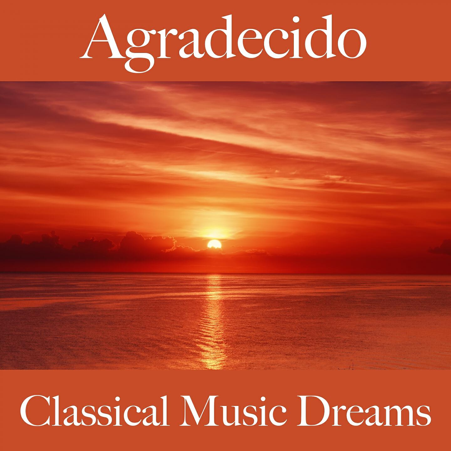 I Musici - The Four Seasons, Violin Concerto No. 4 in F Minor, RV 197 'L'inverno': II. Largo