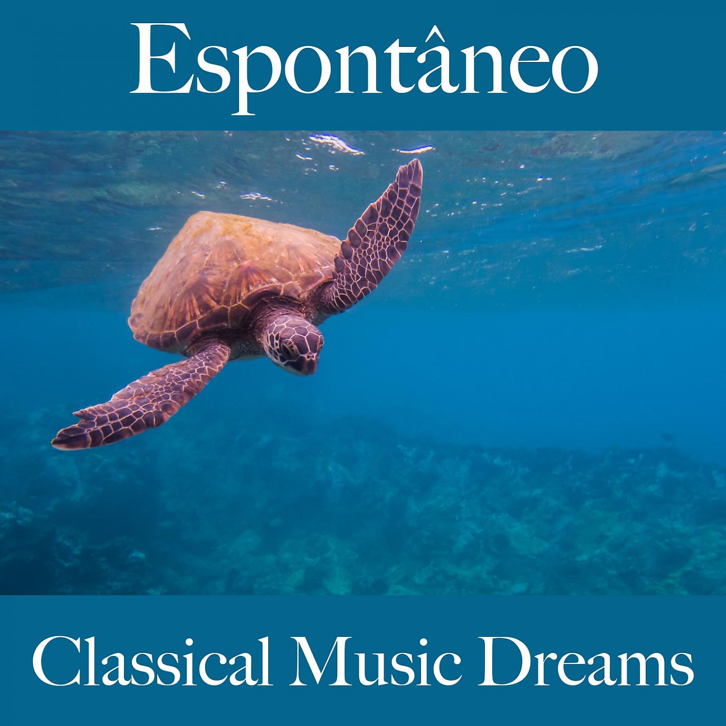 Постер альбома Espontâneo: Classical Music Dreams - A Melhor Música Para Relaxar