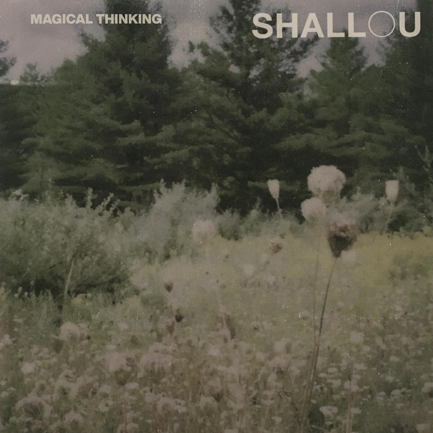 Shallou - Endless