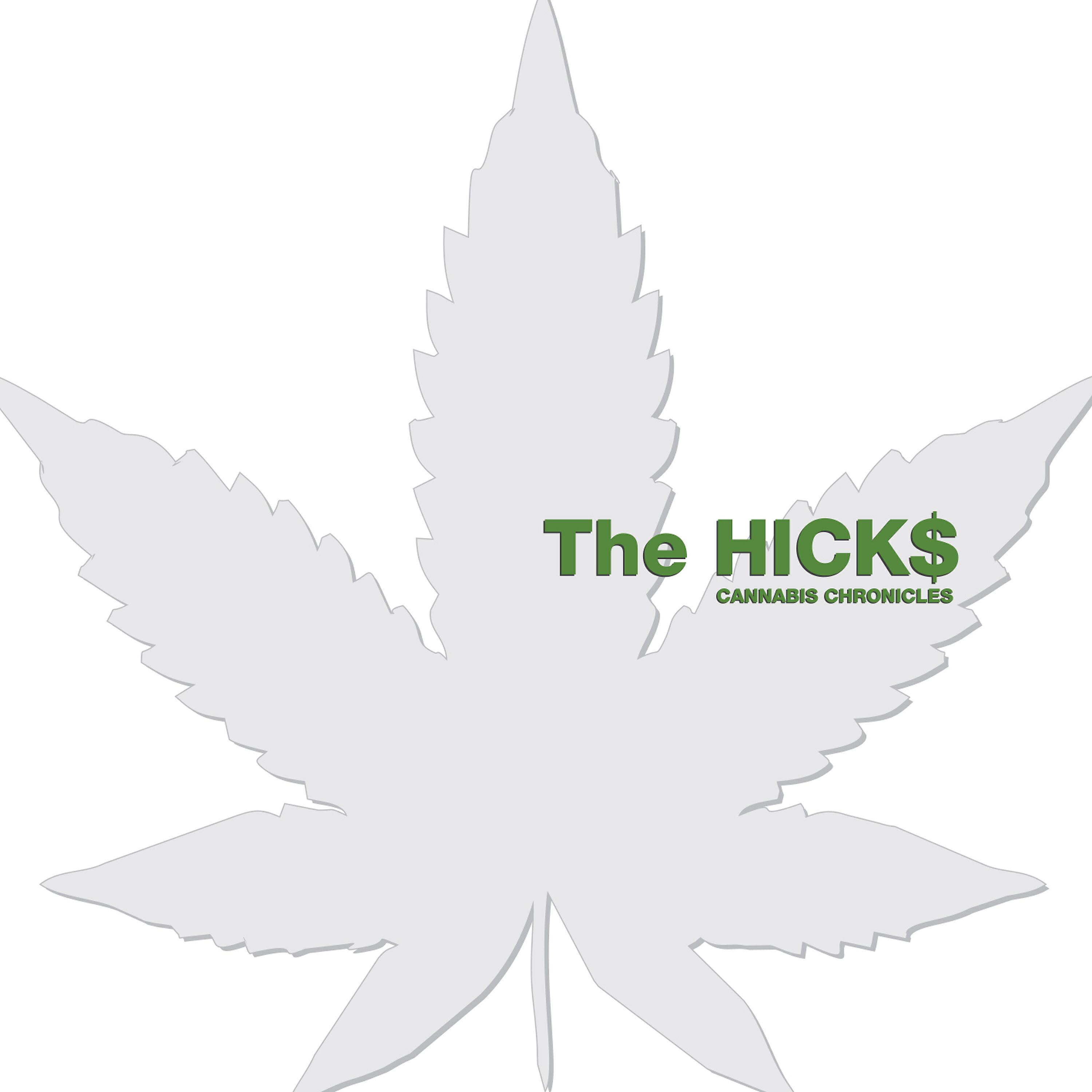 The Hicks - Mr. Bong