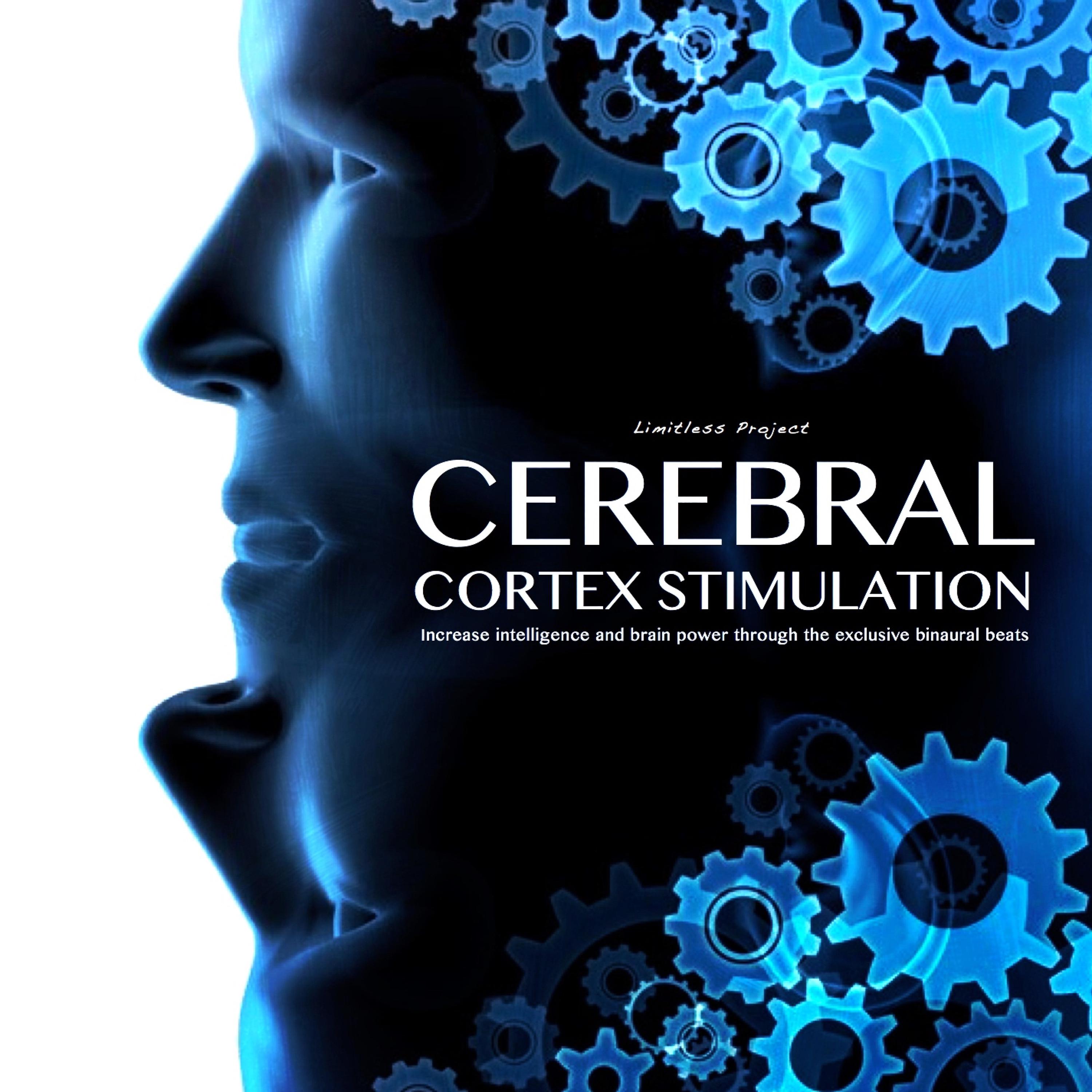 Постер альбома Cerebral Cortex Stimulation
