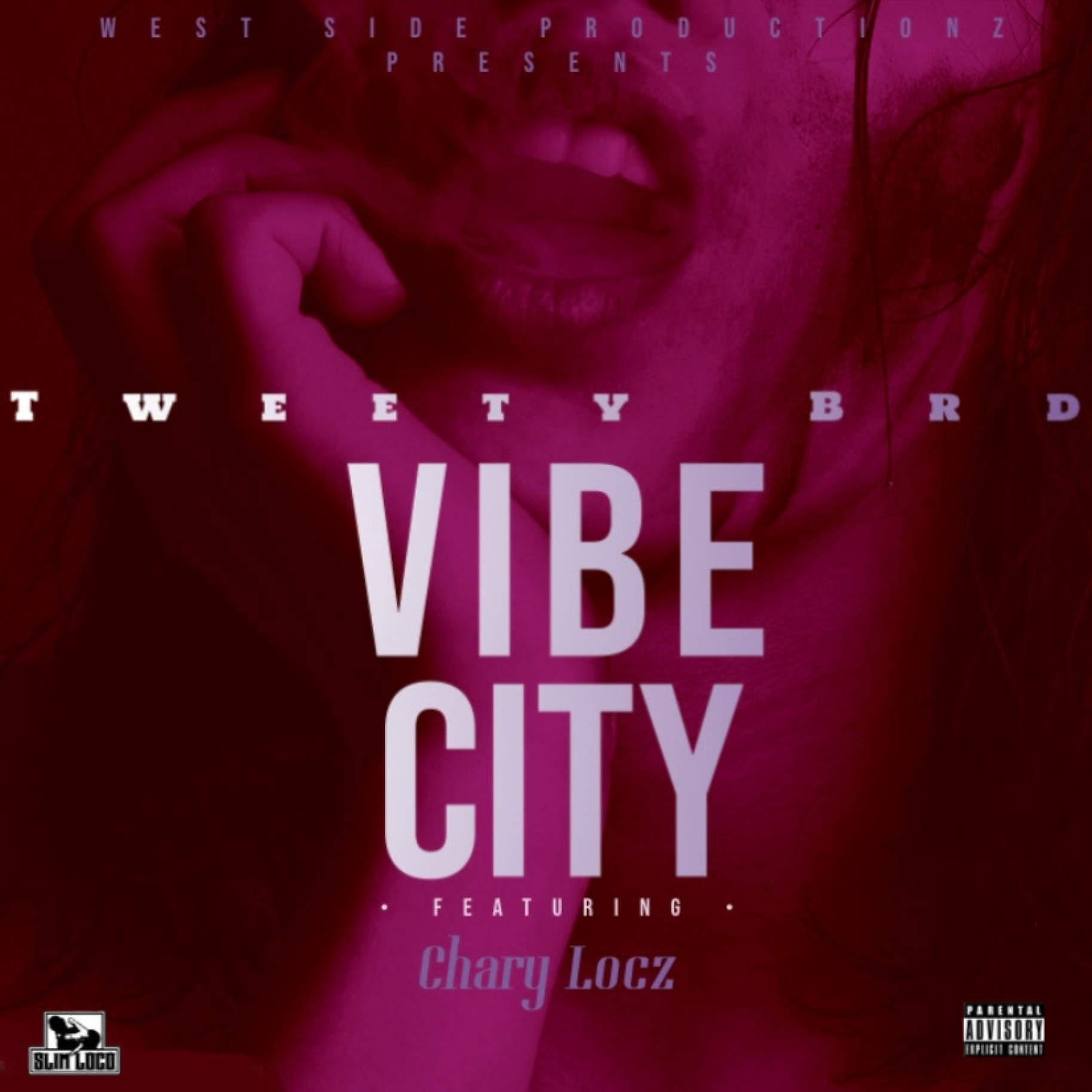 Постер альбома Vibe City (feat. Chary Locz)