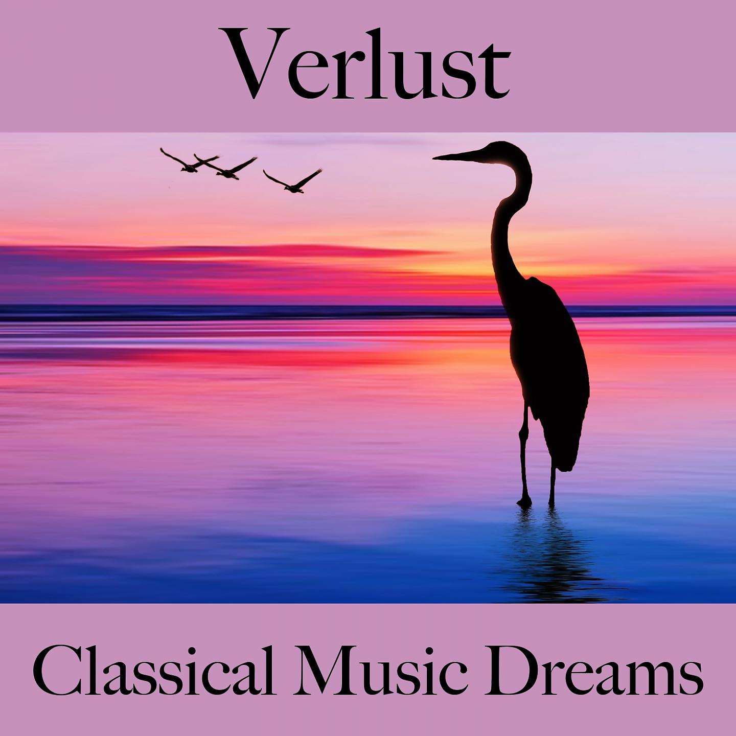 Постер альбома Verlust: Classical Music Dreams - Die Beste Musik Um Sich Besser Zu Fühlen