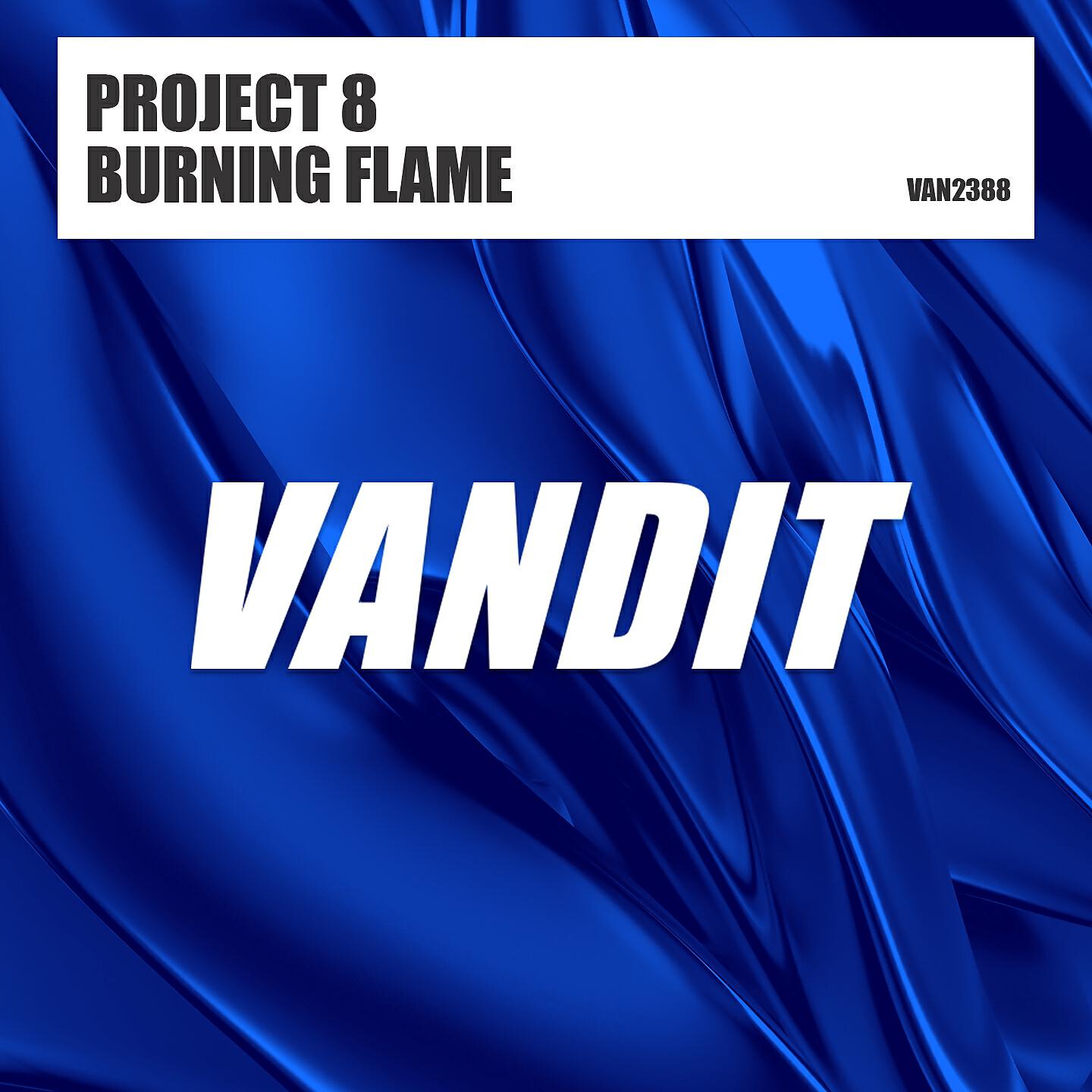 Project 8 - Burning Flame (Extended)