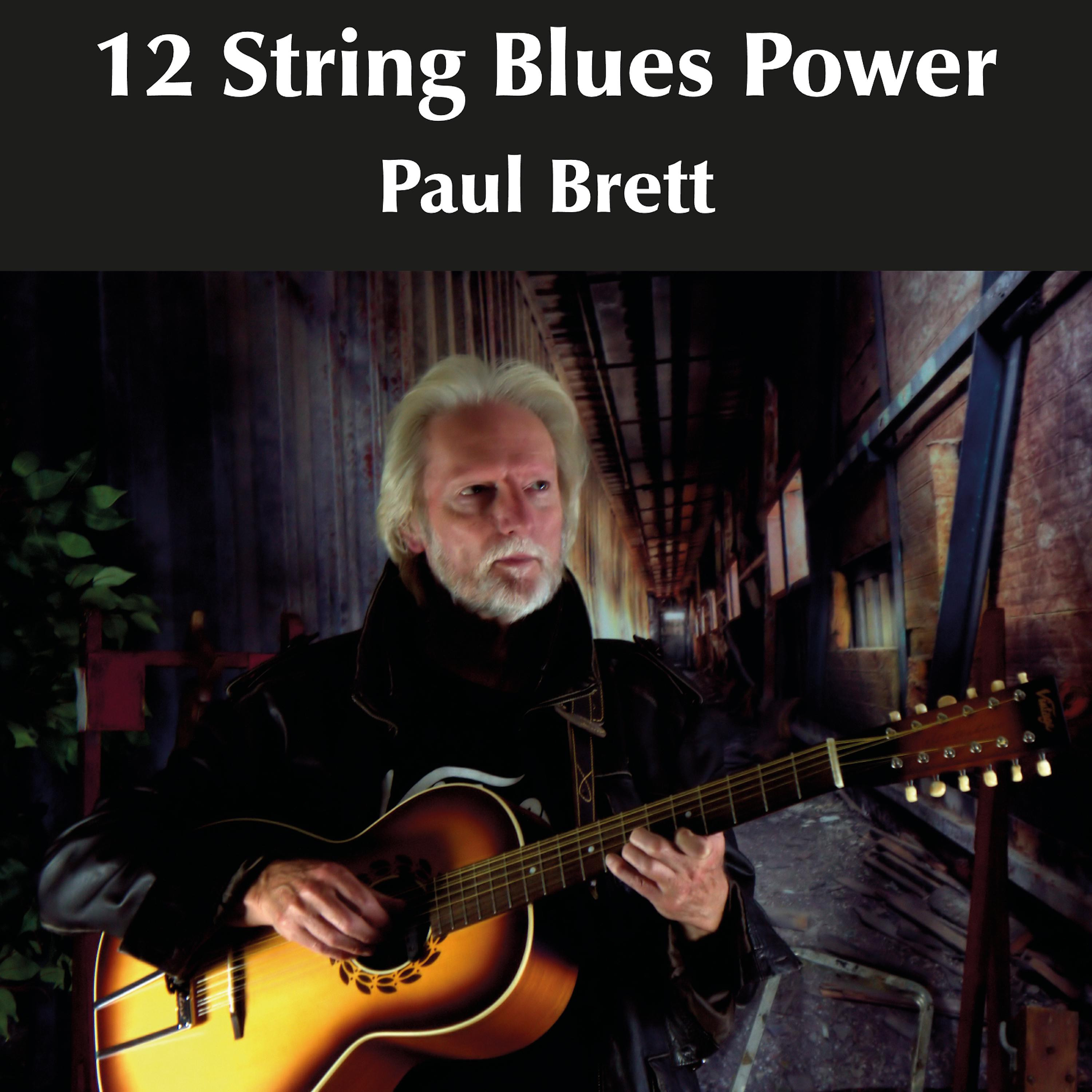 Постер альбома 12 String Blues Power