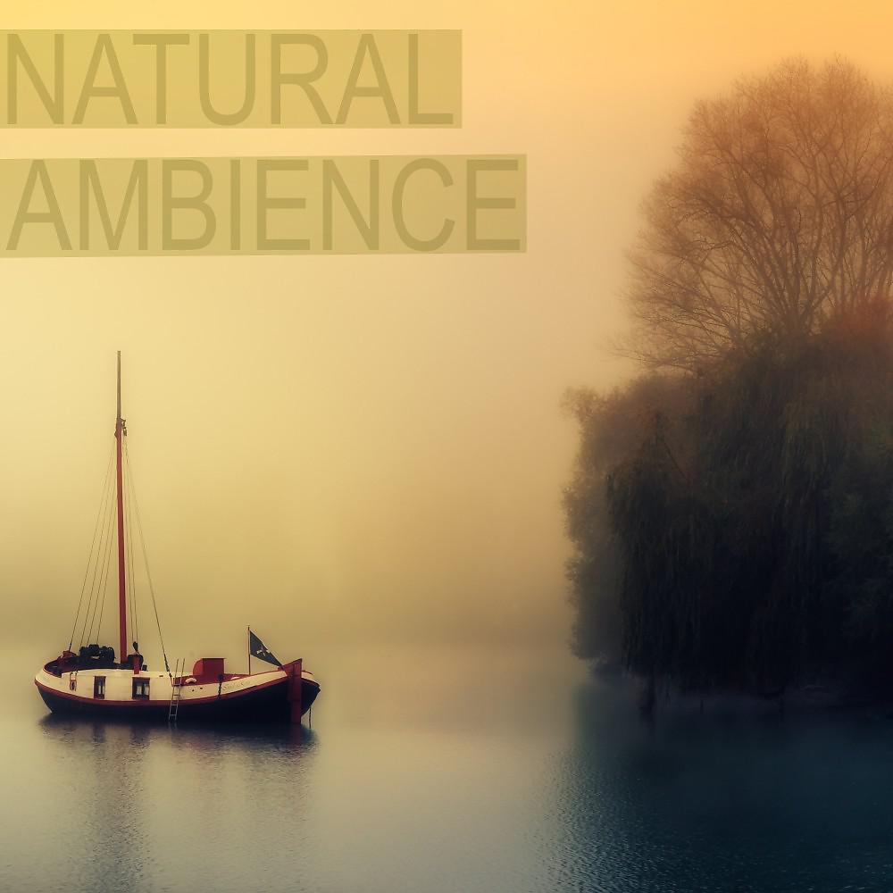 Постер альбома Natural Ambience