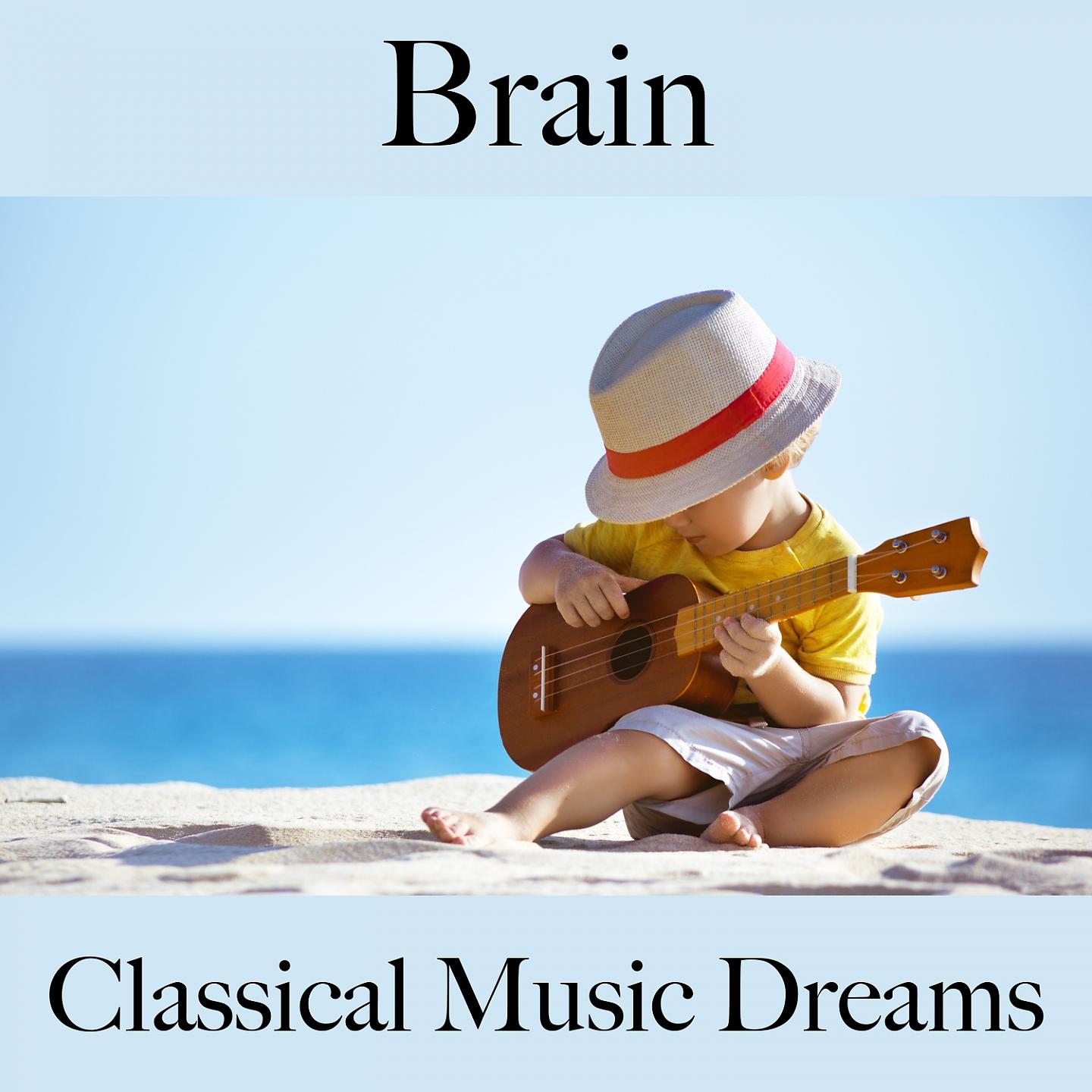 Постер альбома Brain: Classical Music Dreams - The Best Music For Relaxation