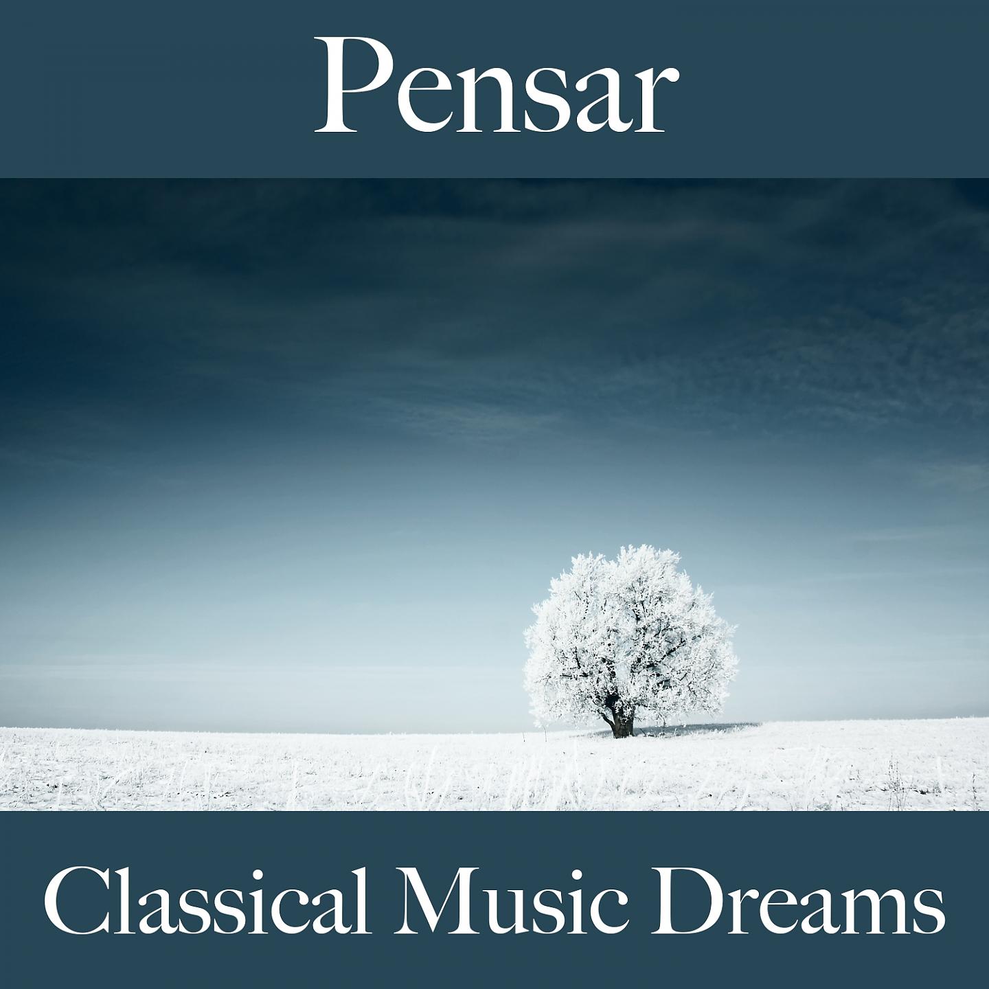 Постер альбома Pensar: Classical Music Dreams - A Melhor Música Para Relaxar