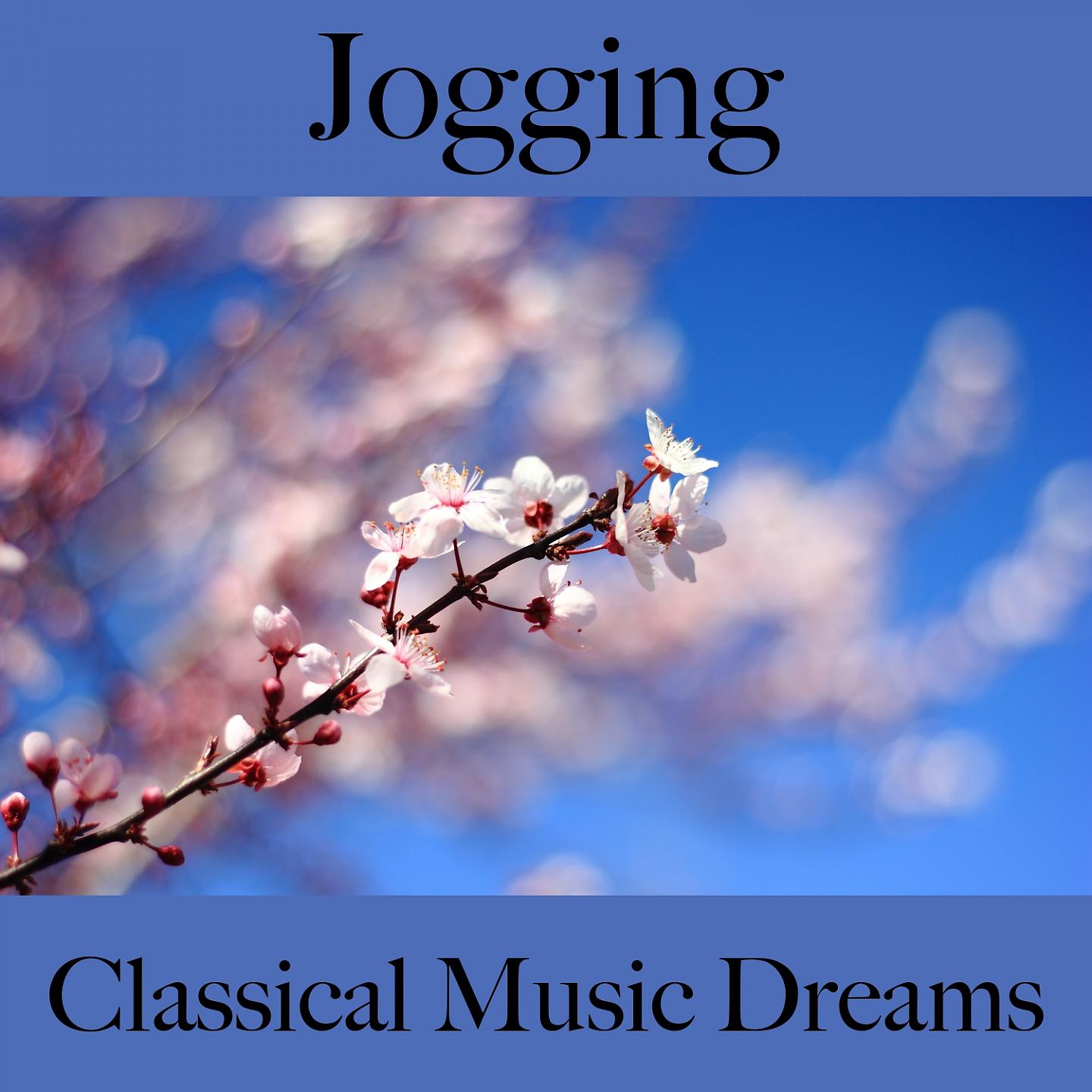 Постер альбома Jogging: Classical Music Dreams - Os Melhores Sons Para Malhar