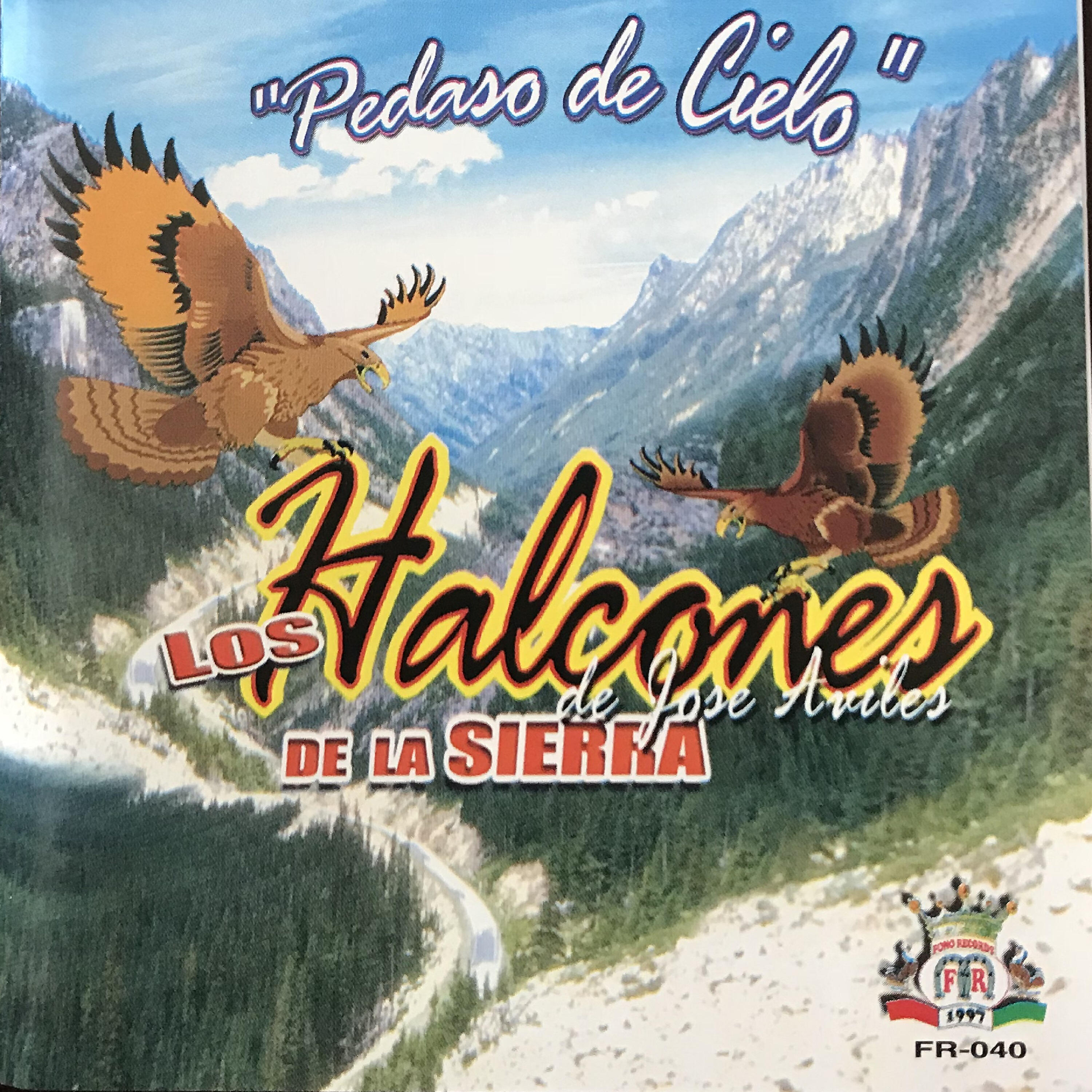 Los Halcones de La Sierra - Los Pajaros