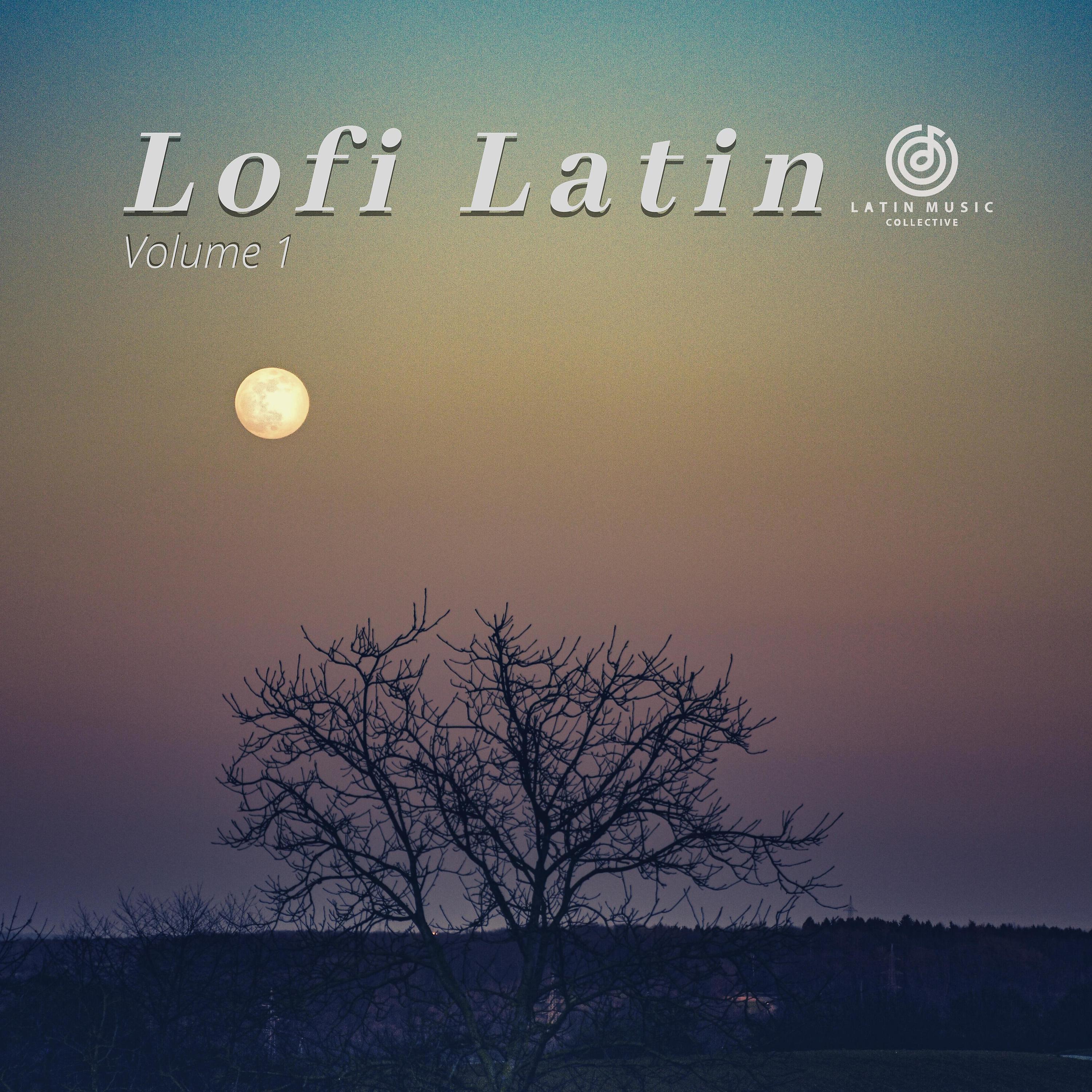 Постер альбома Lofi Latin