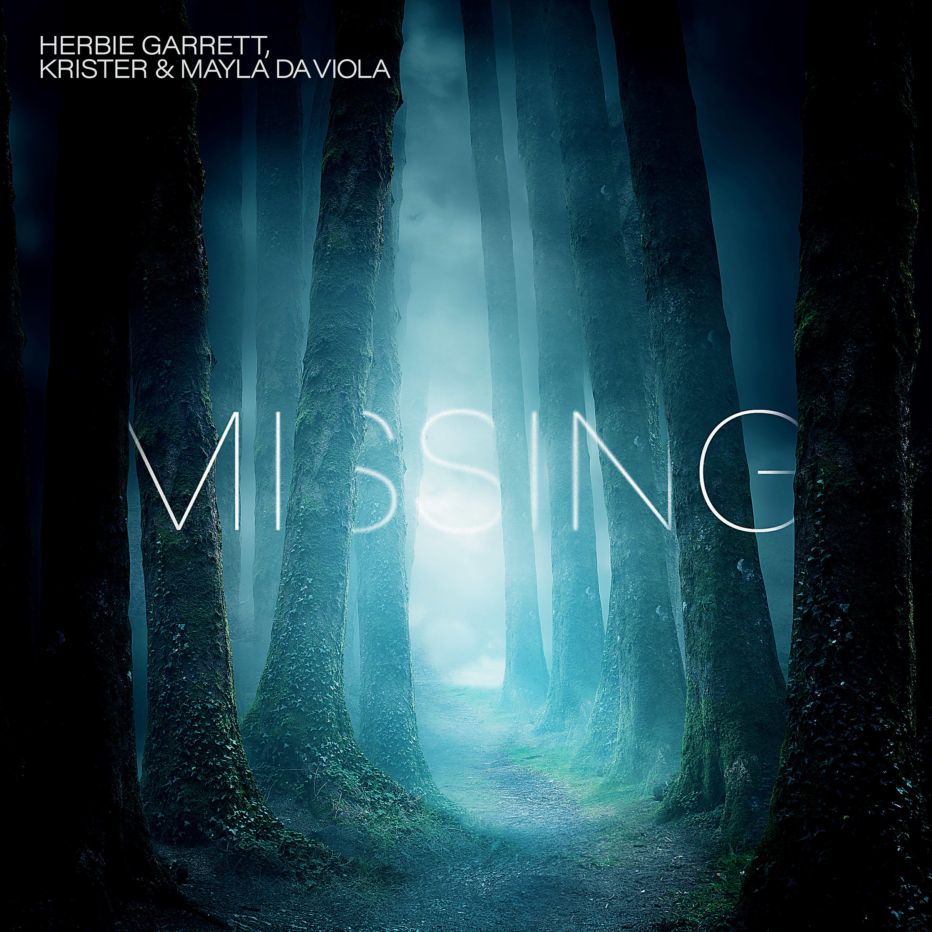 Herbie Garrett - Missing