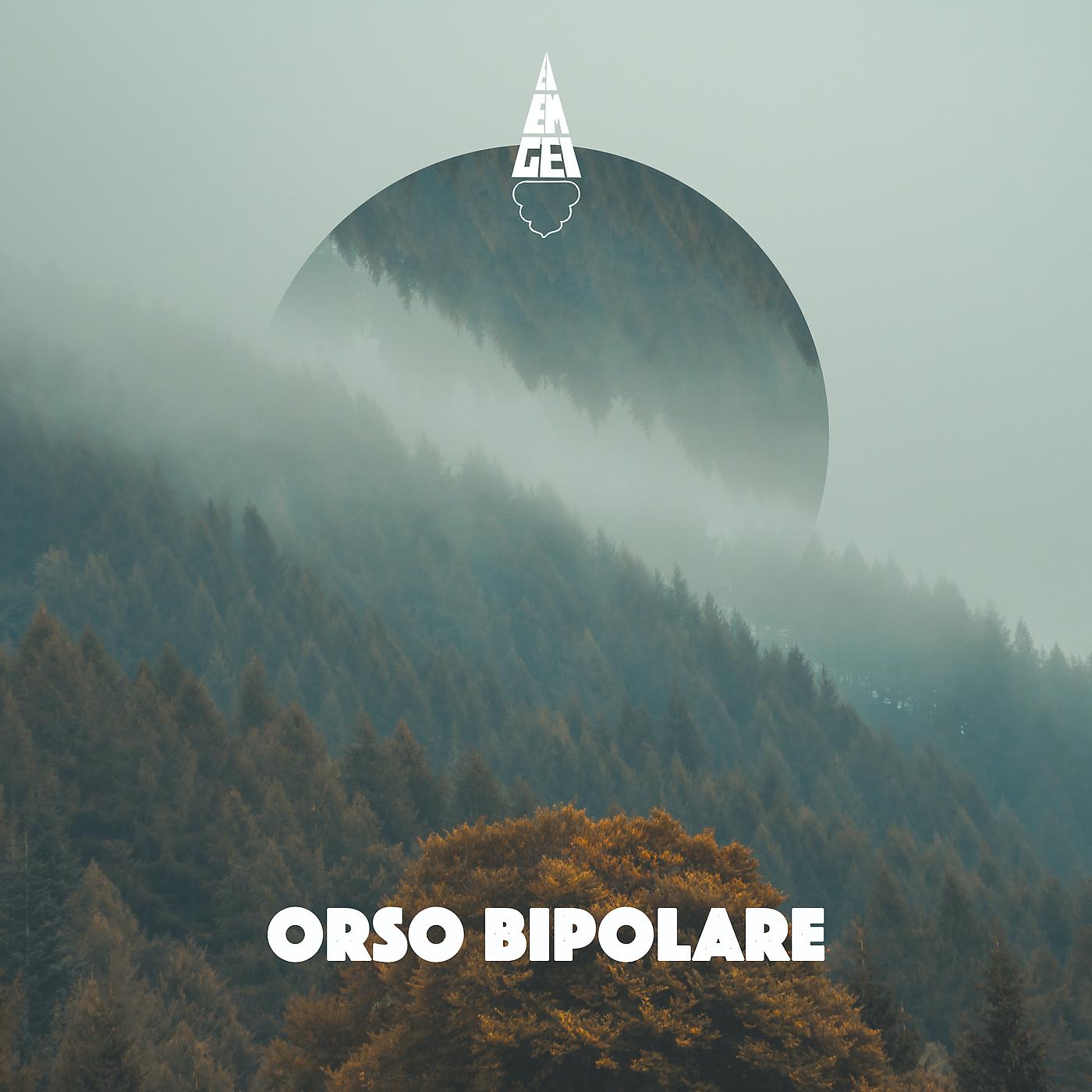 Постер альбома Orso bipolare