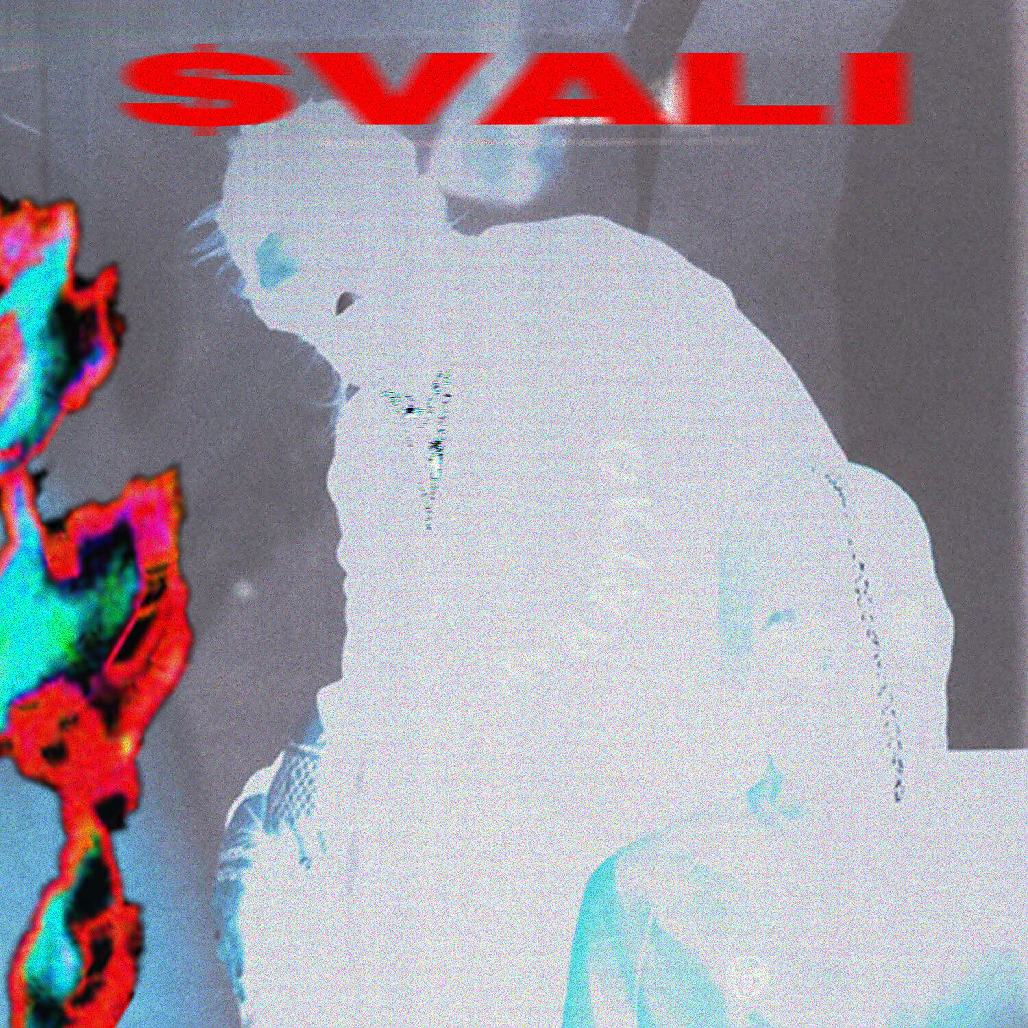 SLAVA VORONTSOV - $vali (feat. VACÍO)