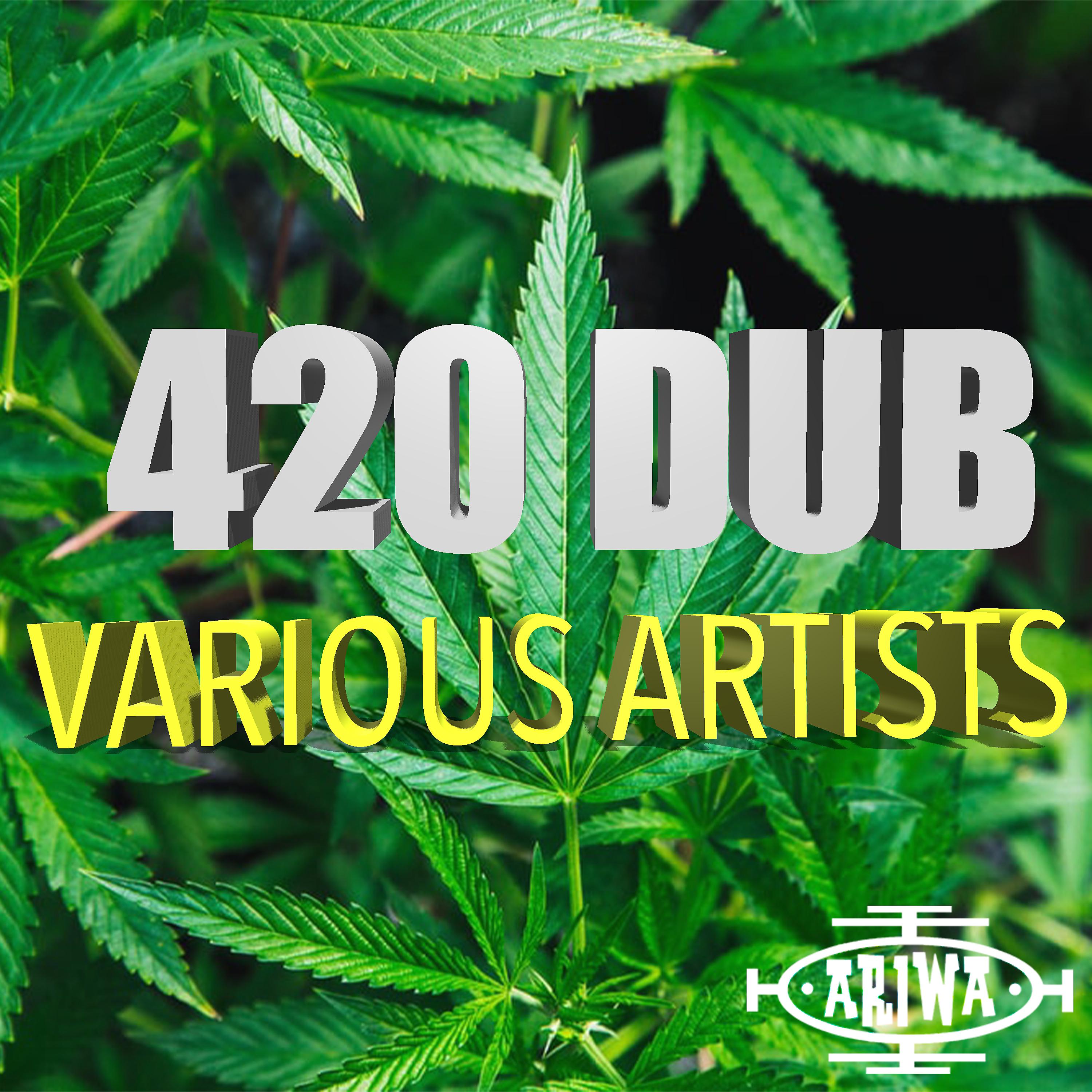 Постер альбома 420 Dub