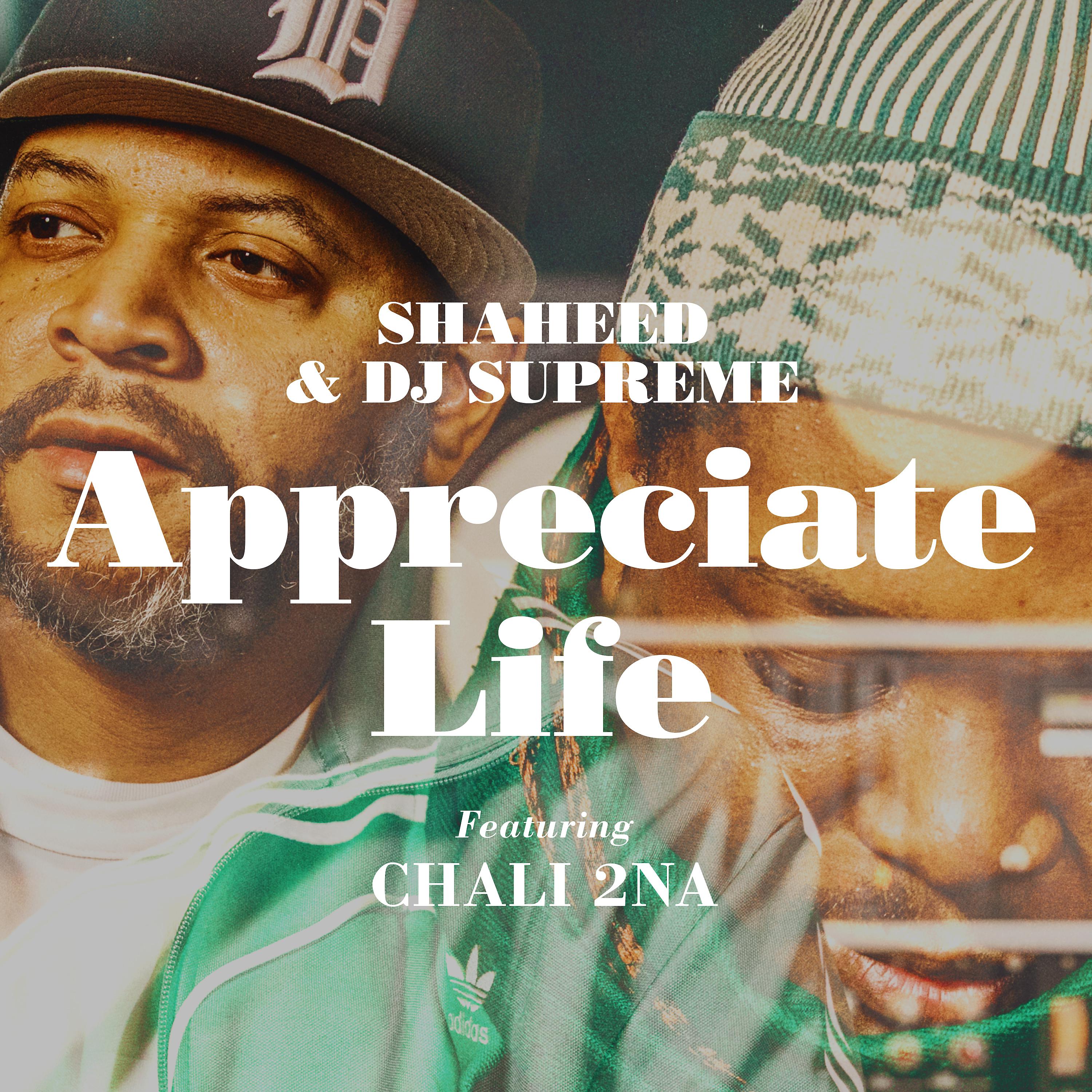 Постер альбома Appreciate Life