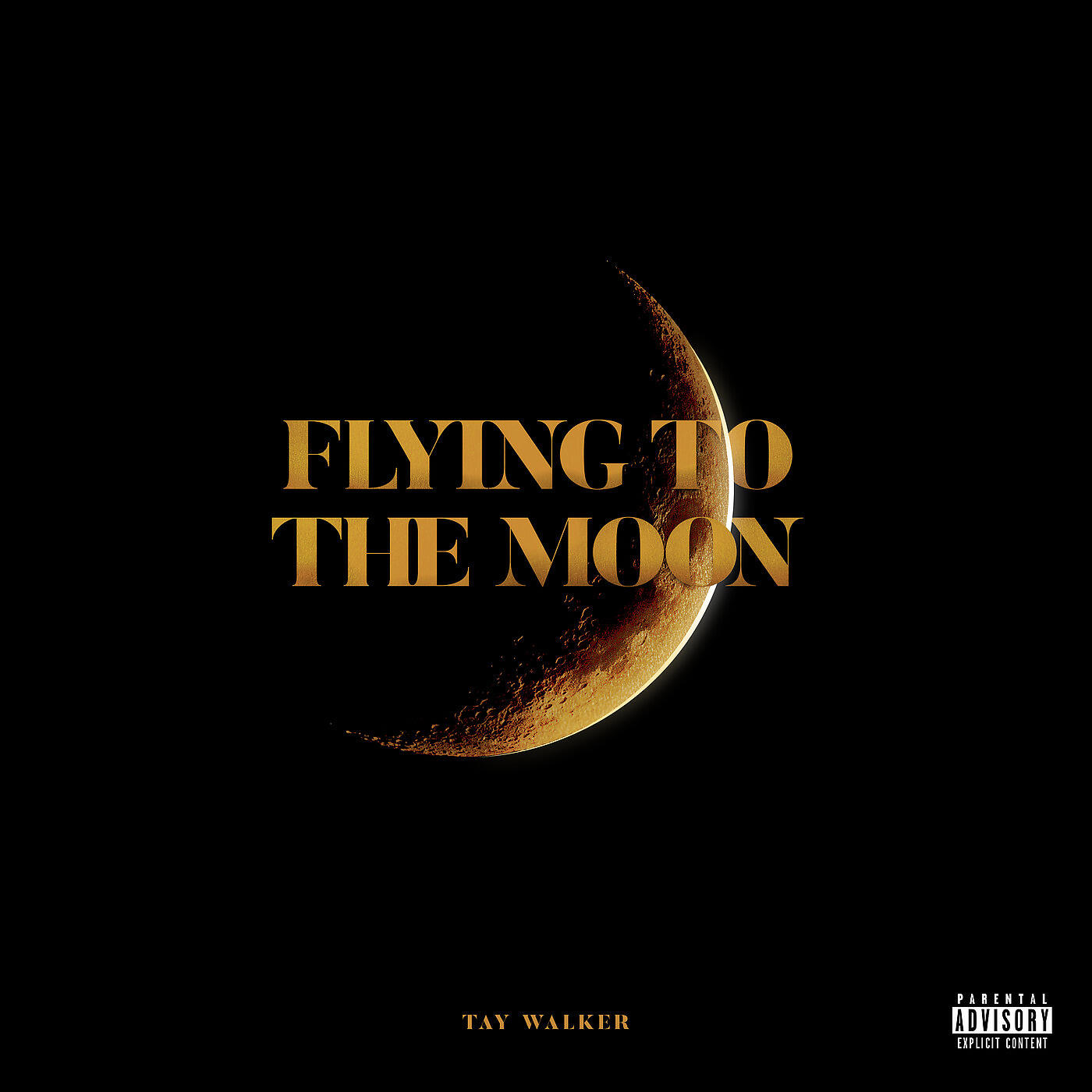Tay Walker - Flying to the Moon