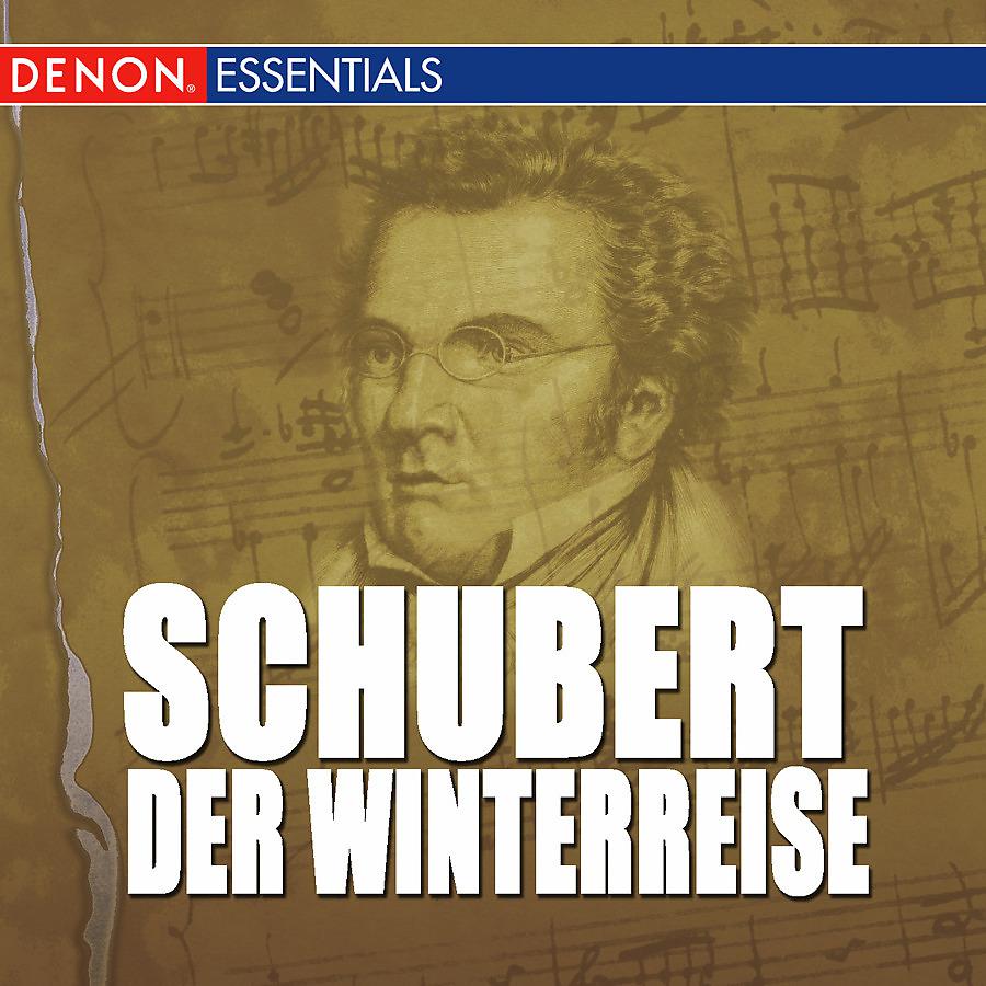 Постер альбома Schubert: Winterreise - Swan Song
