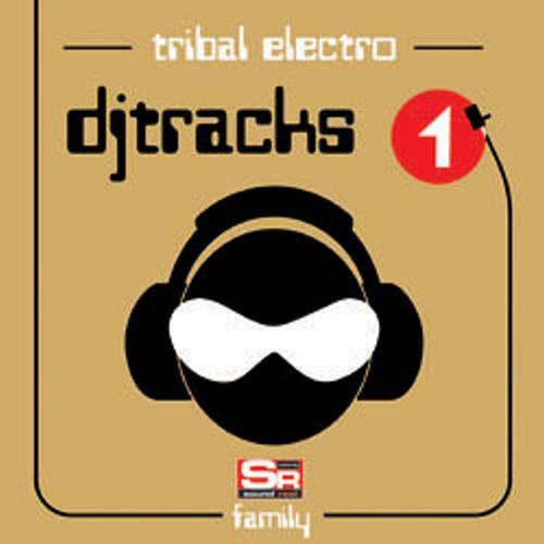 Постер альбома Dj Tracks, Vol. 1 - Tribal Electro