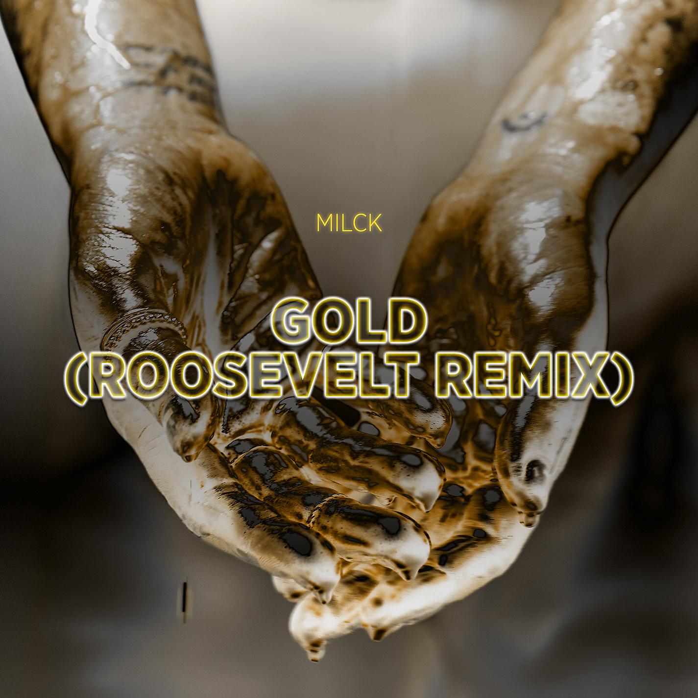 Постер альбома Gold (Roosevelt Remix)