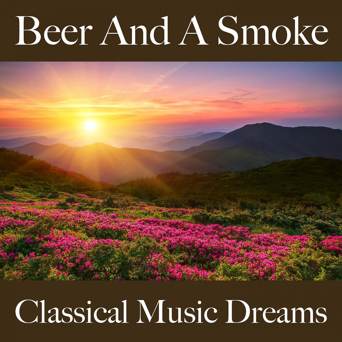 Постер альбома Beer And A Smoke: Classical Music Dreams - Die Besten Sounds Zum Entspannen