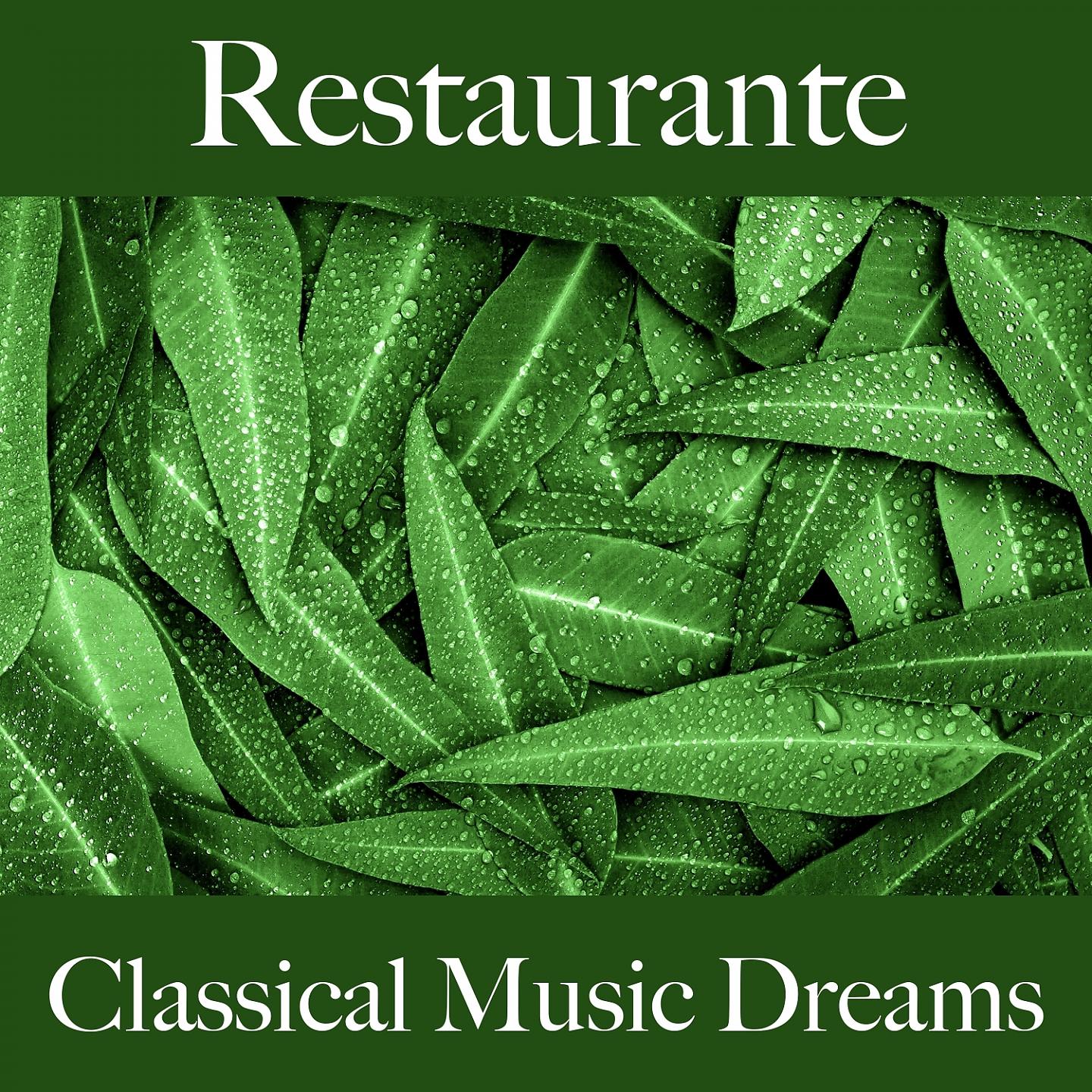 Постер альбома Restaurante: Classical Music Dreams - Os Melhores Sons Para Relaxar