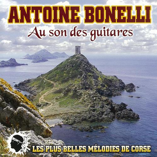 Постер альбома Au son des guitares
