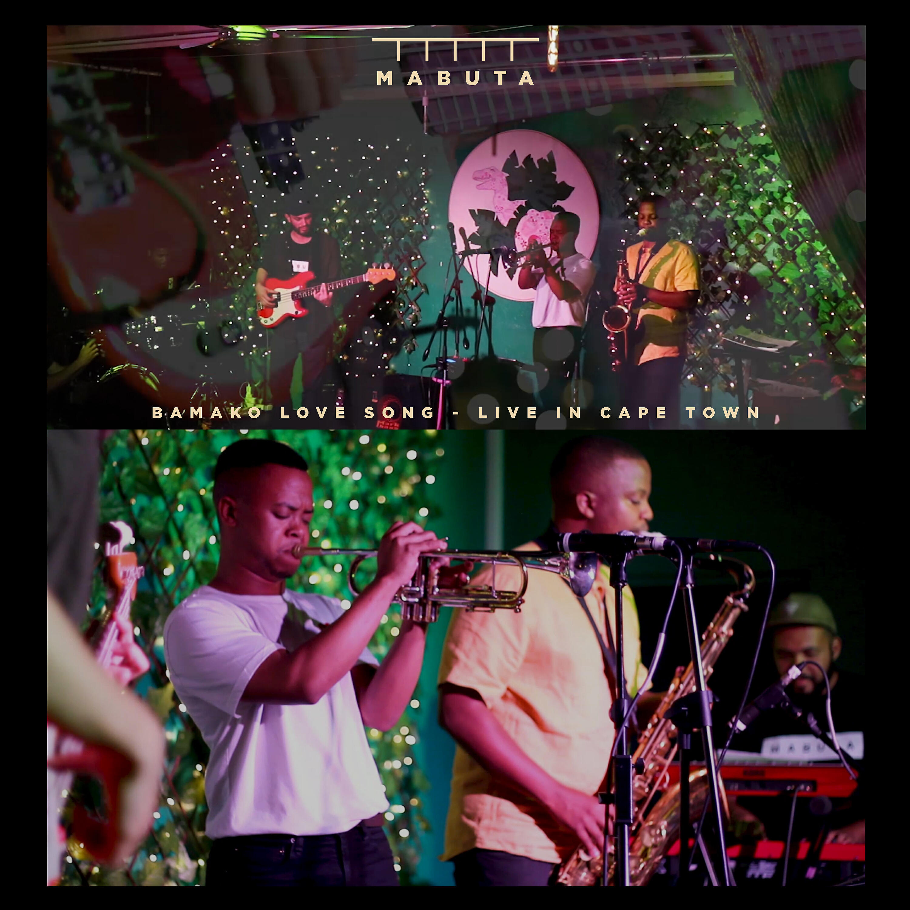 Shane Cooper - Shane's Bass Intro (Live in Cape Town)