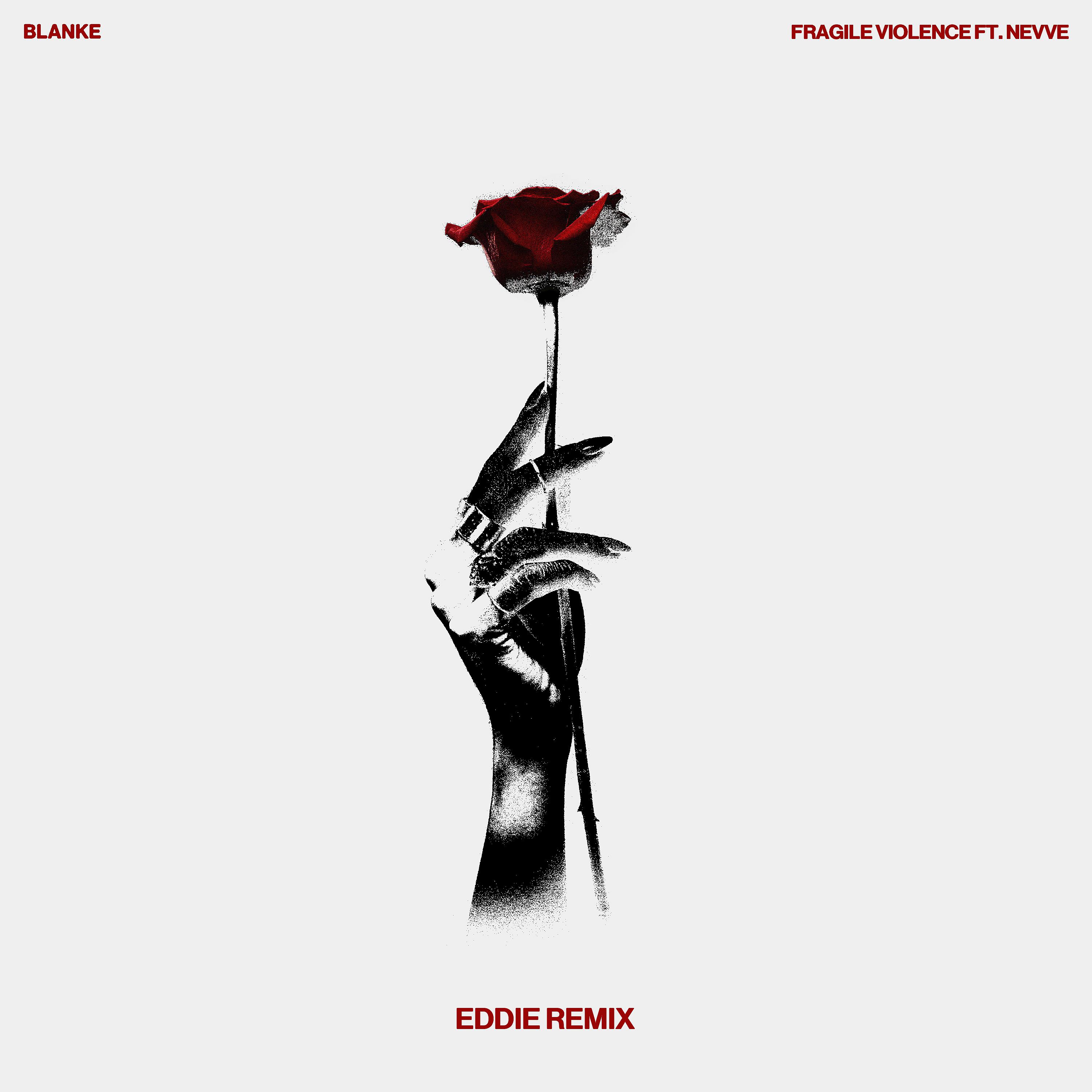 Постер альбома Fragile Violence (EDDIE Remix)