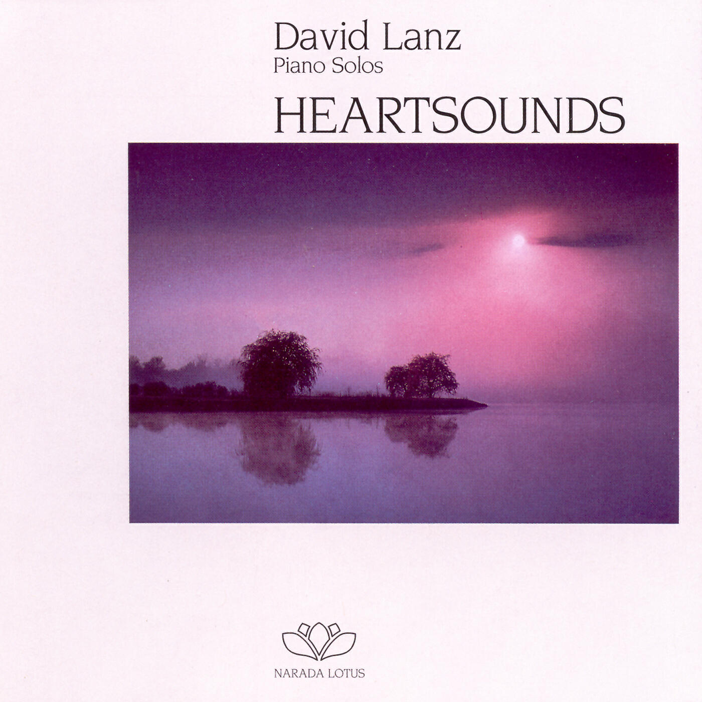 David Lanz - Farewell Amparo