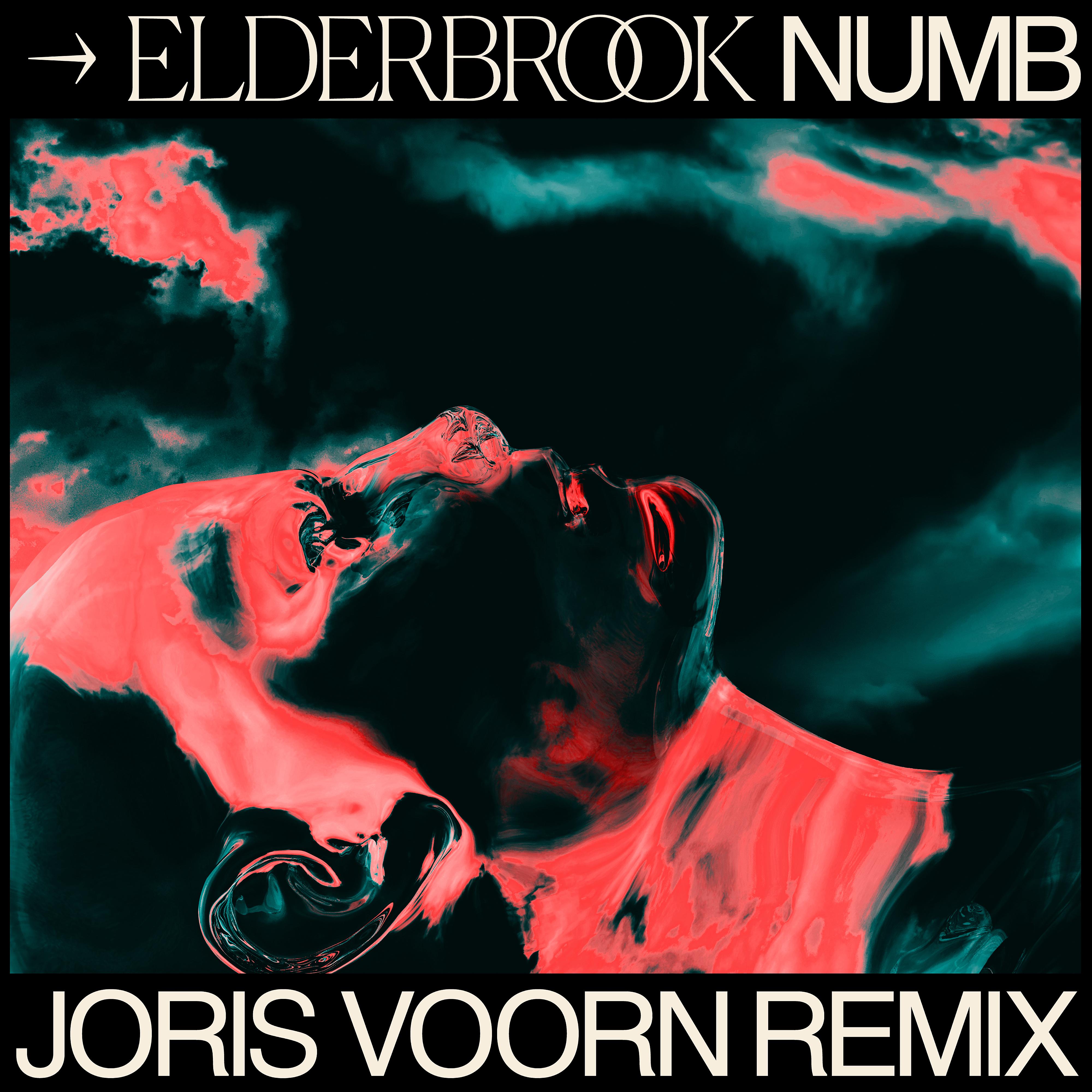 Постер альбома Numb (Joris Voorn Remix)