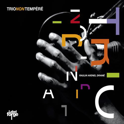 Постер альбома Trio non tempéré