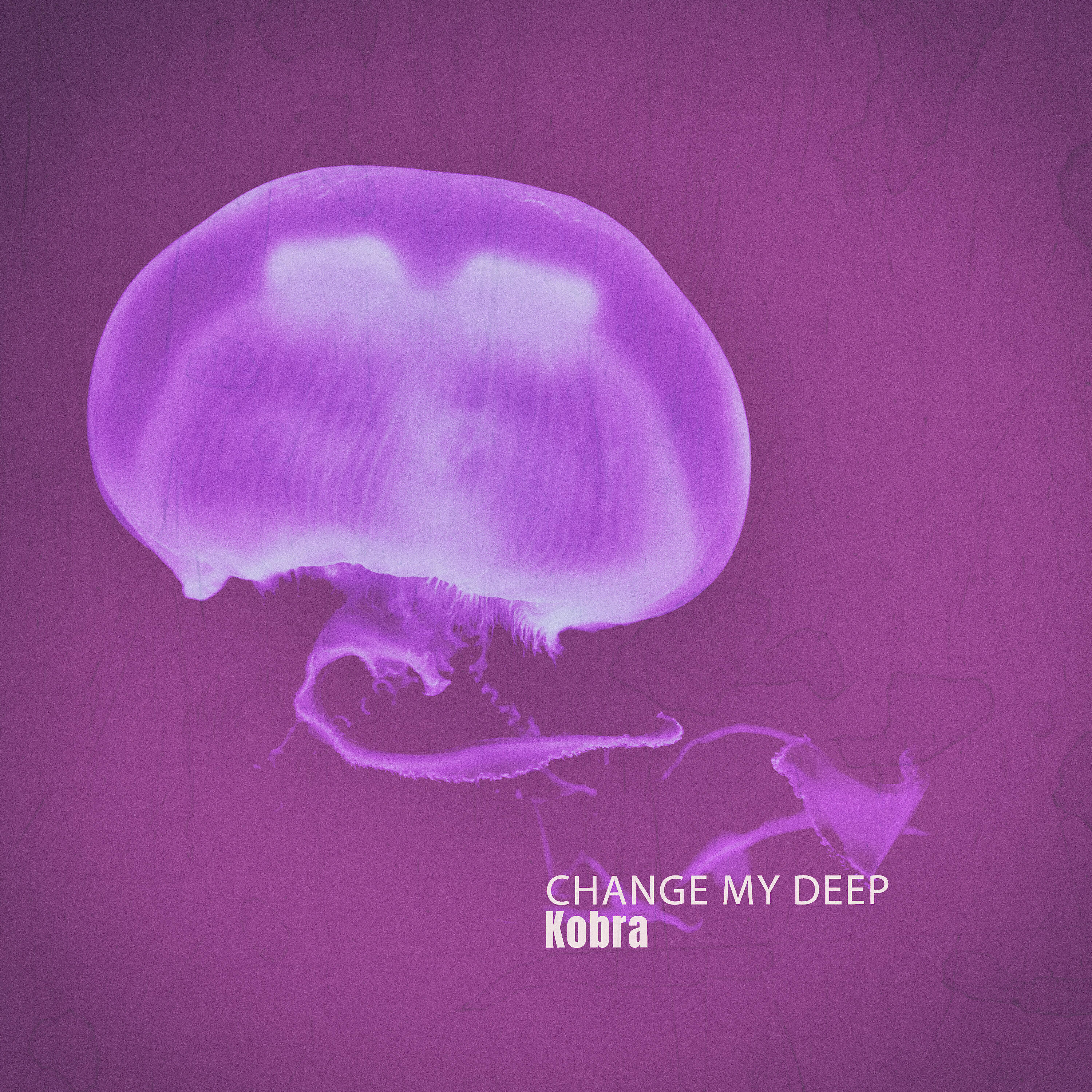Kobra - Change My Deep (Too Deep Mix)