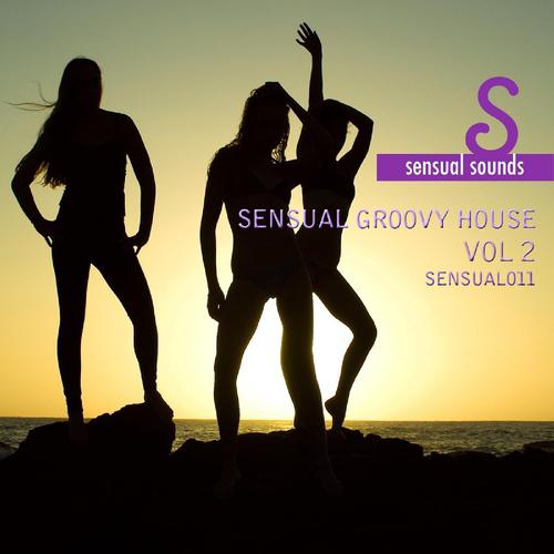 Постер альбома Sensual Groovy House, Vol. 2