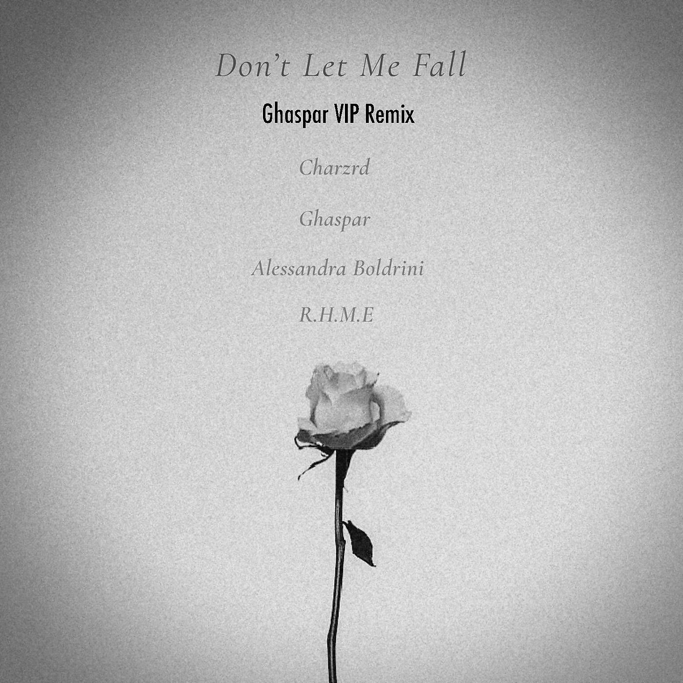 Постер альбома Don't Let Me Fall (Ghaspar Vip Remix)