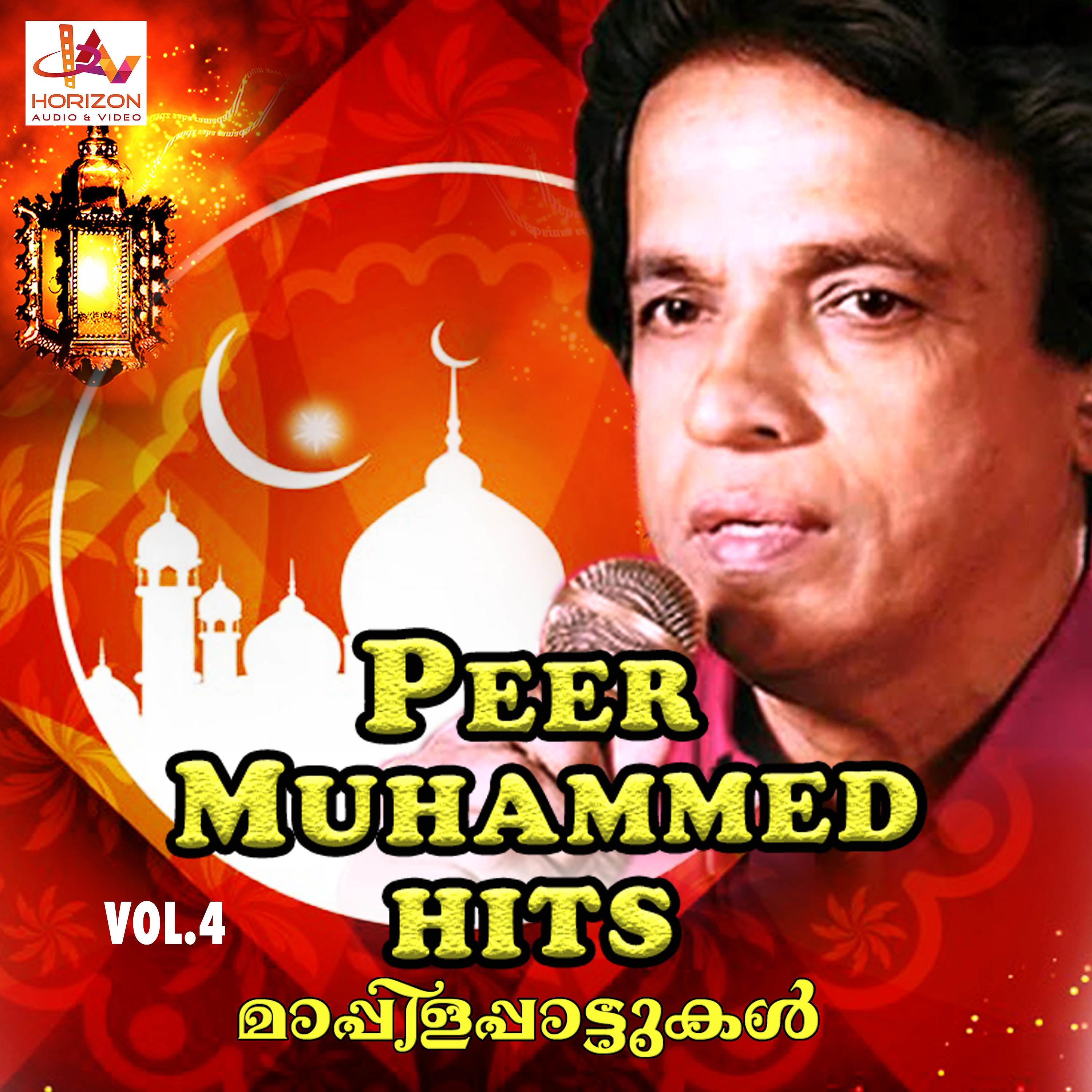 Постер альбома Peer Muhammed Hits, Vol. 4
