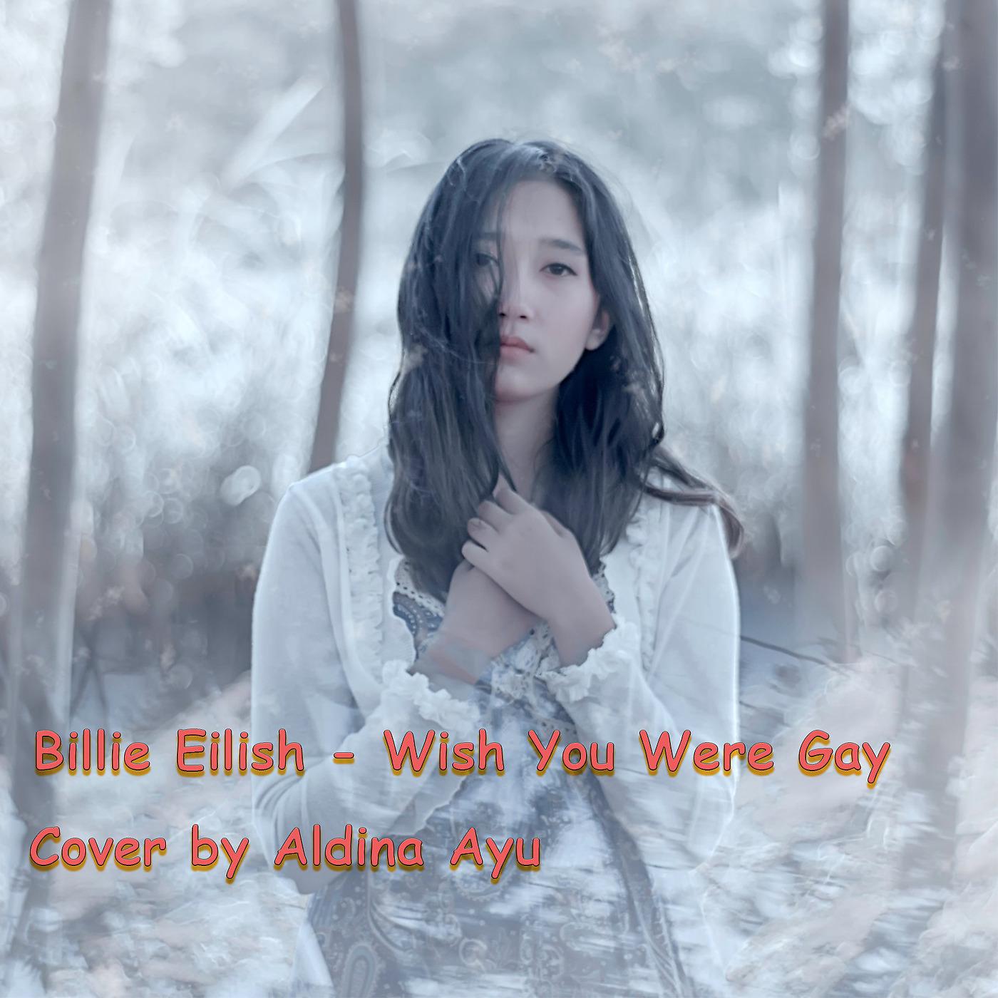 Постер альбома Billie Eilish - Wish You Were Gay