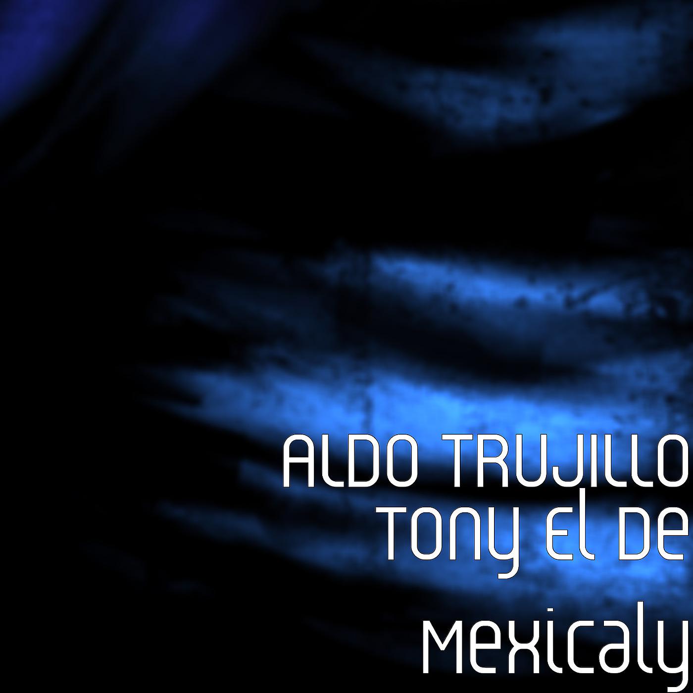 Постер альбома Tony El De Mexicaly