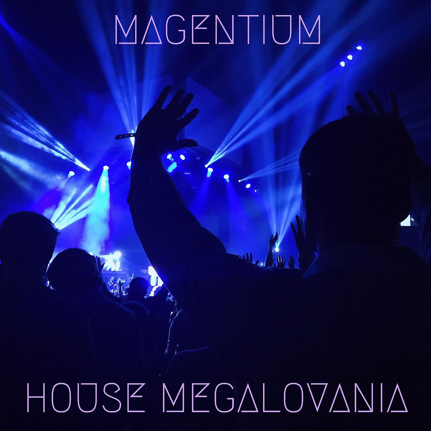 Постер альбома House Megalovania