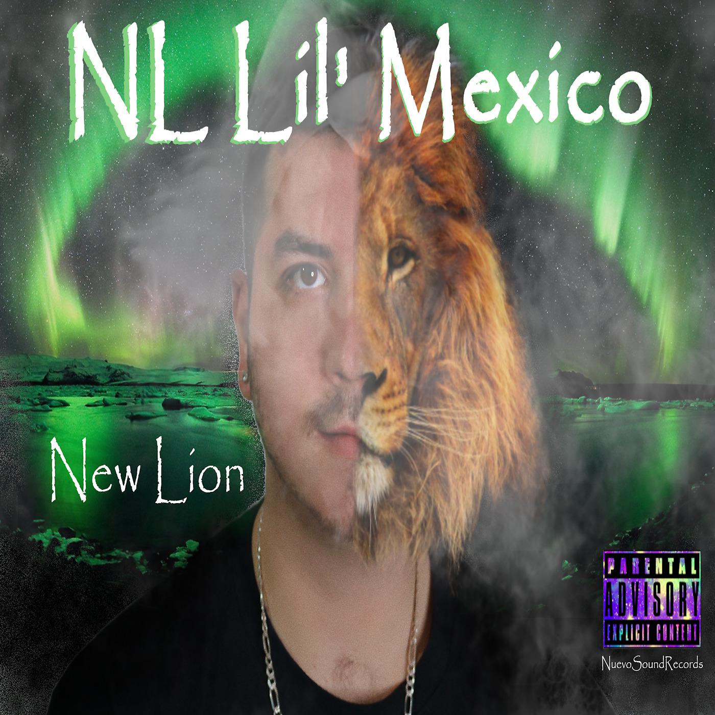 Постер альбома New Lion