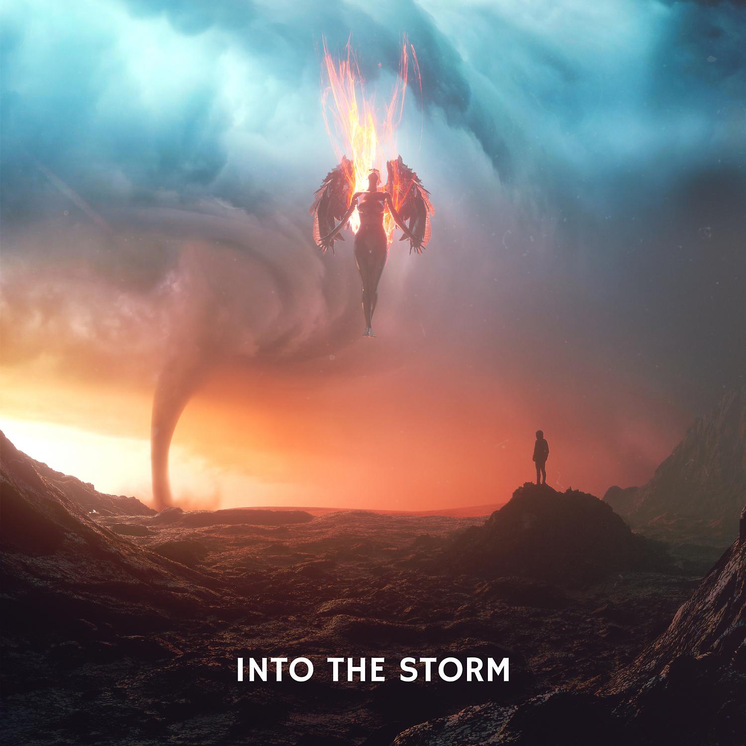 Постер альбома Into The Storm