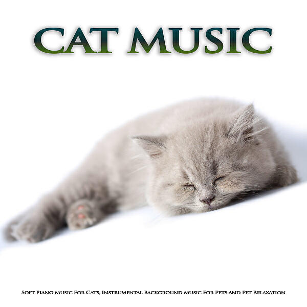 Cat Music - Pet Relaxation Music For Dogs and Cats