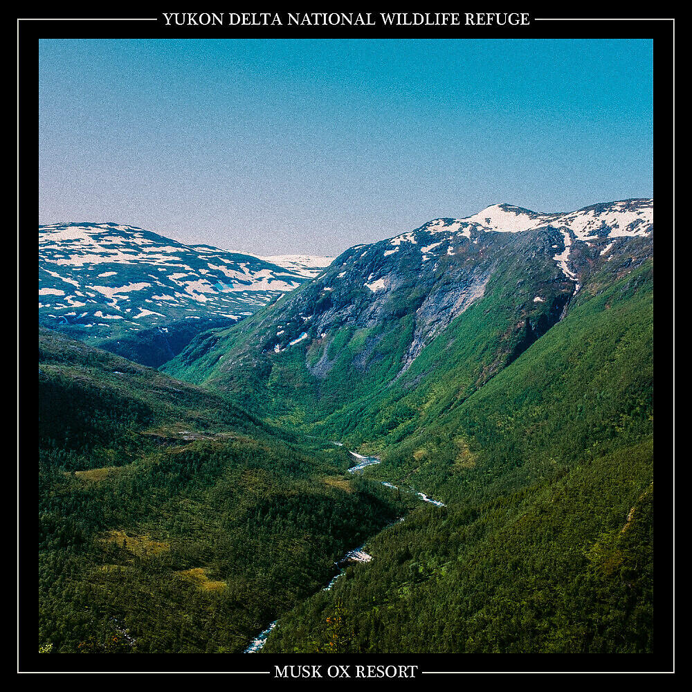 Yukon Delta National Wildlife Refuge - Musk Ox Resort