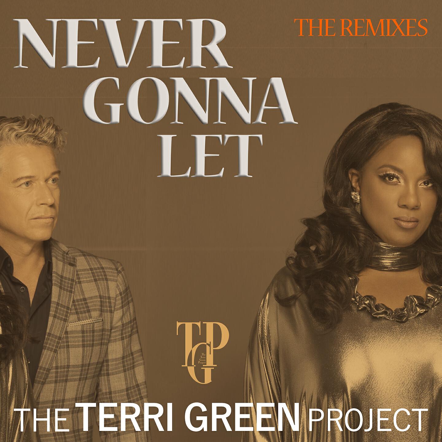 The Terri Green Project - Never Gonna Let (Frankstar 4Q Rework)
