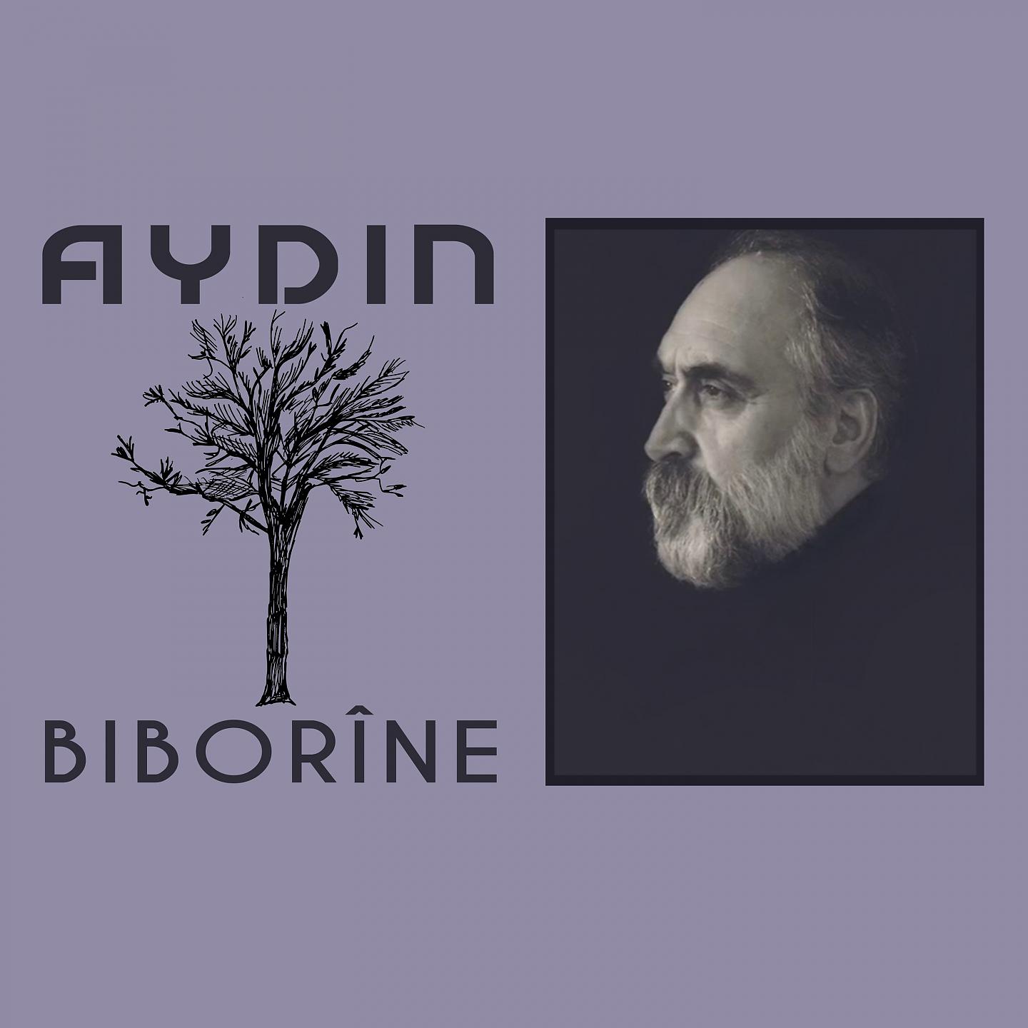 Постер альбома Biborine